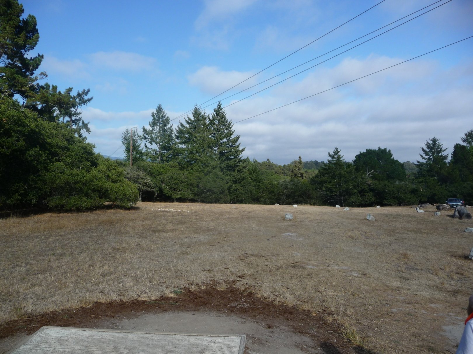 Hole 23 • DeLaveaga Park (Santa Cruz, CA) Disc Golf Courses Disc