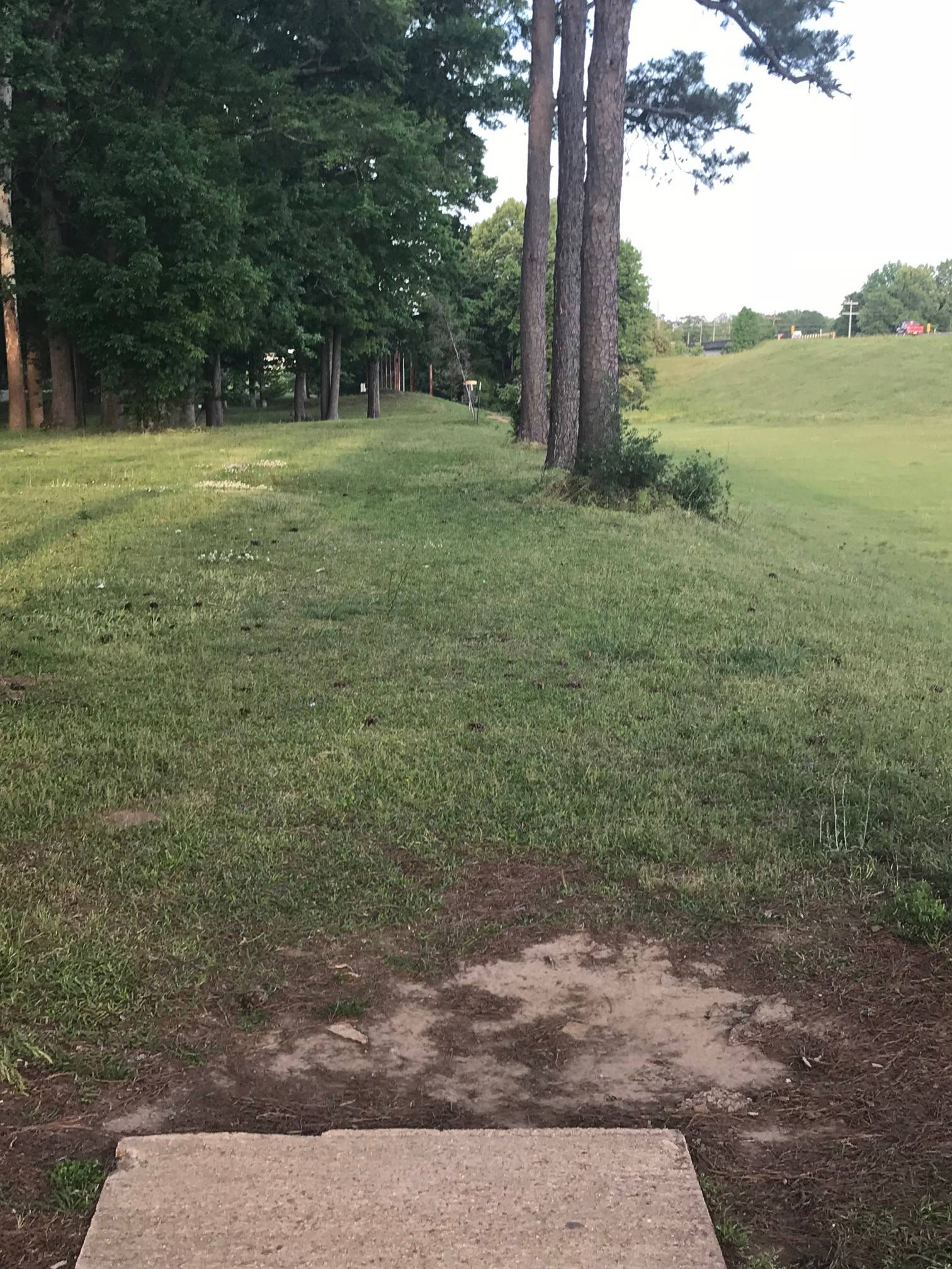Hole 1 • Propst Park (Columbus, MS) Disc Golf Courses Disc Golf Scene