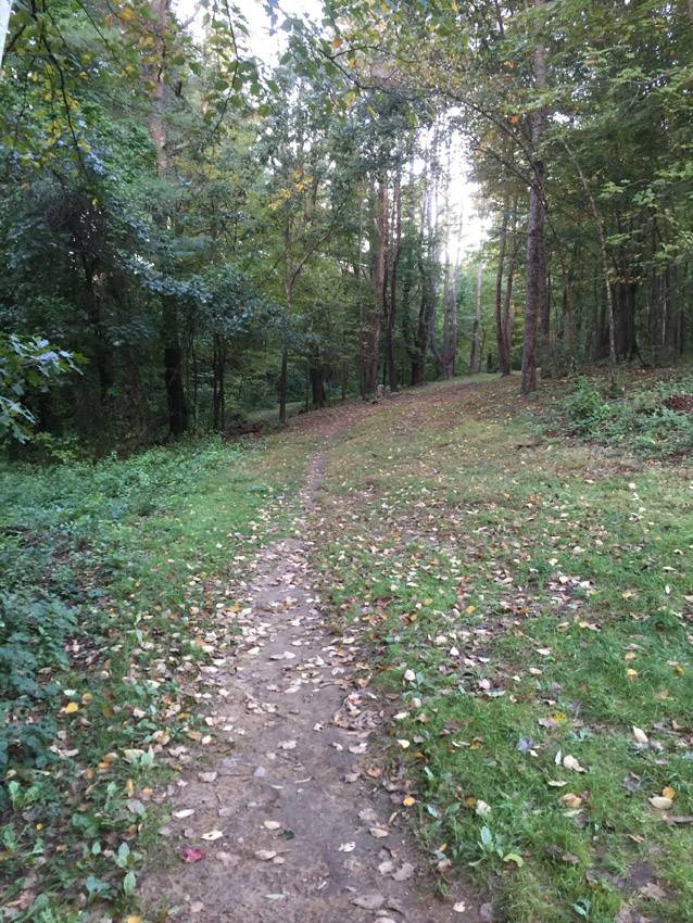 Hole 3 • Top O' The Hill Disc Golf (Canterbury, NH) Disc Golf Courses