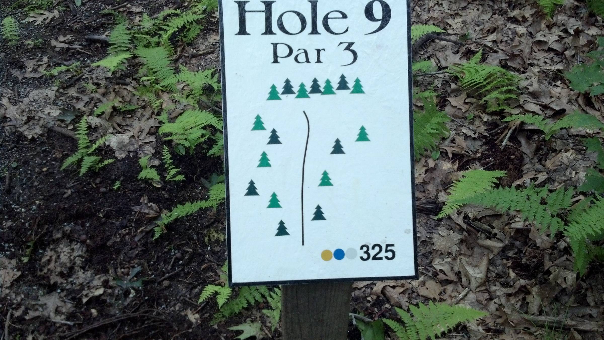 Hole 9 • Top O' The Hill Disc Golf (Canterbury, NH) Disc Golf Courses