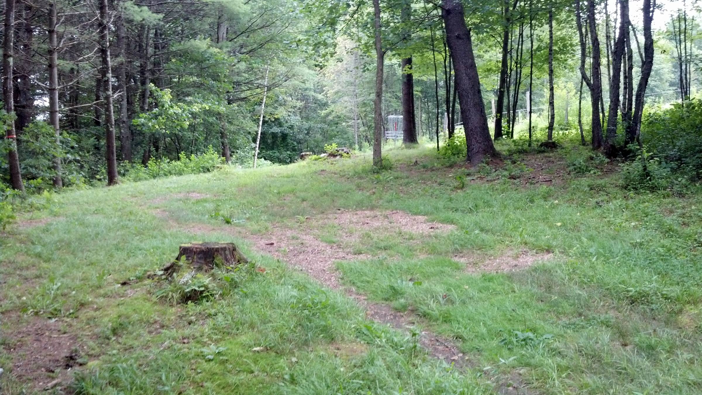 Hole 2 • Top O' The Hill Disc Golf (Canterbury, NH) Disc Golf Courses
