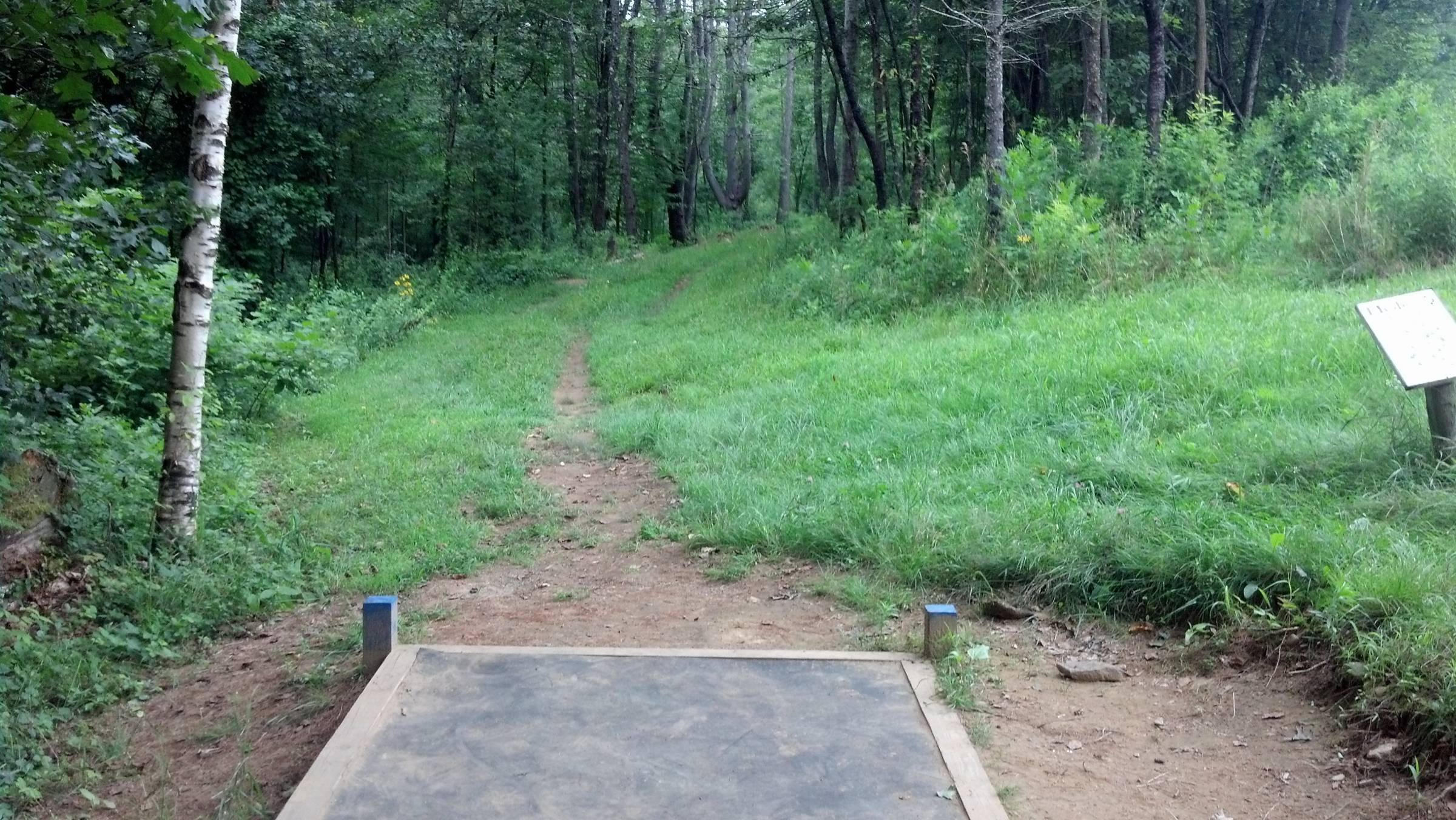Hole 3 • Top O' The Hill Disc Golf (Canterbury, NH) Disc Golf Courses