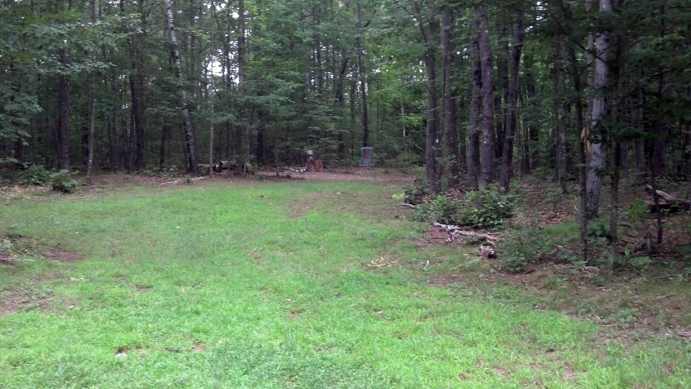 Hole 7 • Top O' The Hill Disc Golf (Canterbury, NH) Disc Golf Courses