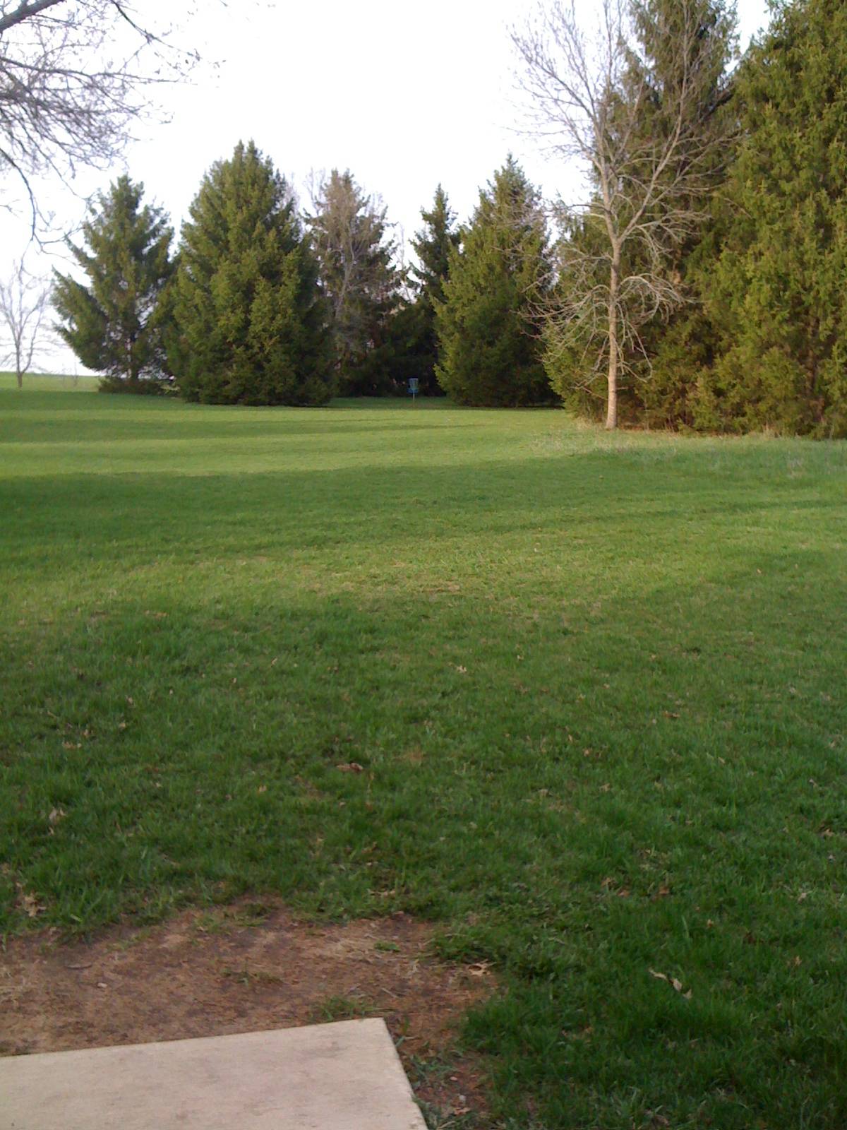 Hole 8 • Zobel Park (Green Lake, WI) Disc Golf Courses Disc Golf Scene