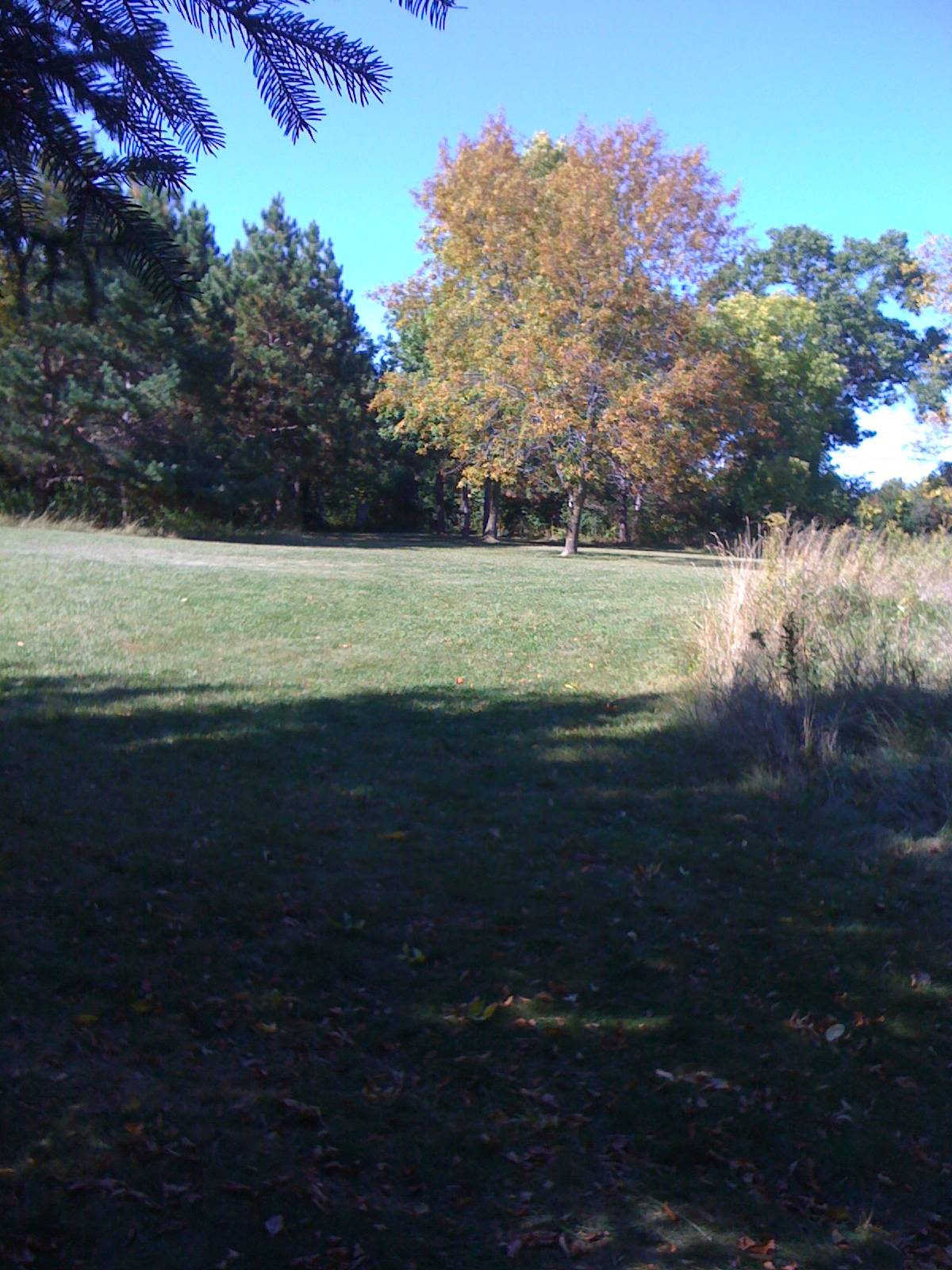 Hole 8 • Zobel Park (Green Lake, WI) Disc Golf Courses Disc Golf Scene