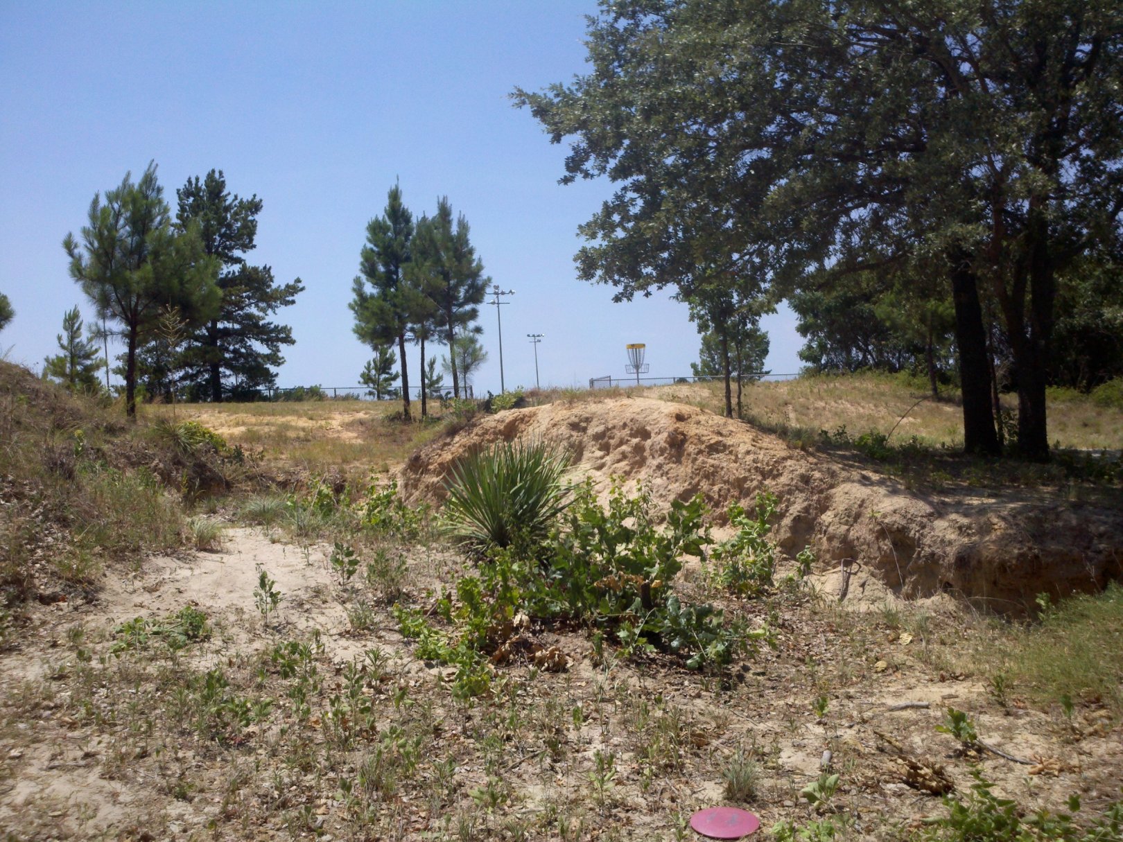 Hole 18 • Lindsey Park (Tyler, TX) Disc Golf Courses Disc Golf Scene