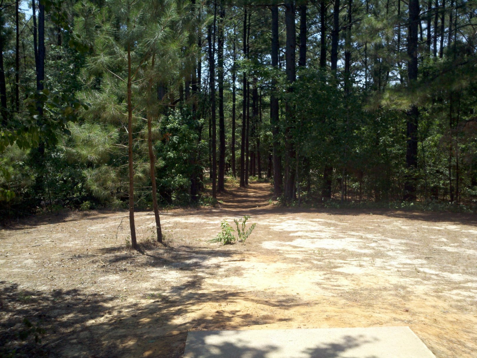 Hole 15 • Lindsey Park (Tyler, TX) Disc Golf Courses Disc Golf Scene