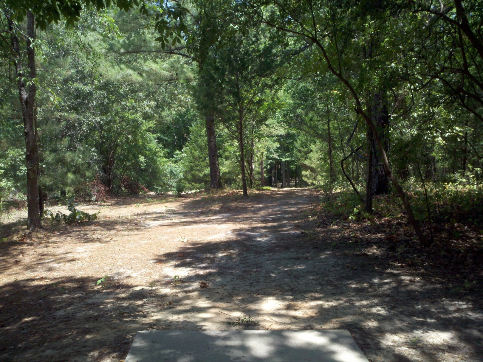 Hole 8 • Lindsey Park (Tyler, TX) Disc Golf Courses Disc Golf Scene