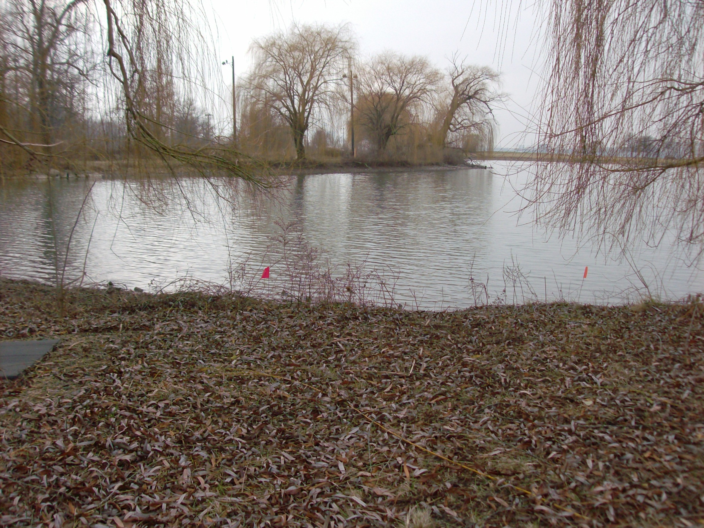 Hole 14 • Belle Isle DGC (Detroit, MI) Disc Golf Courses Disc Golf