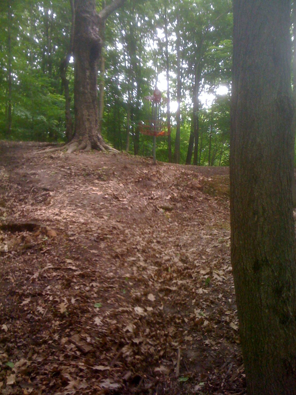 Hole 6 • Rollin Ridge (Brillion, WI) Disc Golf Courses Disc Golf Scene