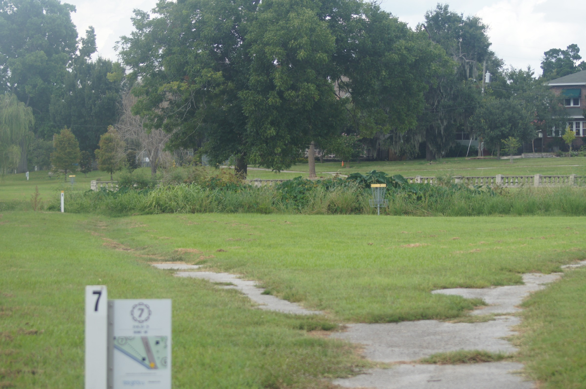 Hole 7 • Springfield DGC (Jacksonville, FL) Disc Golf Courses Disc