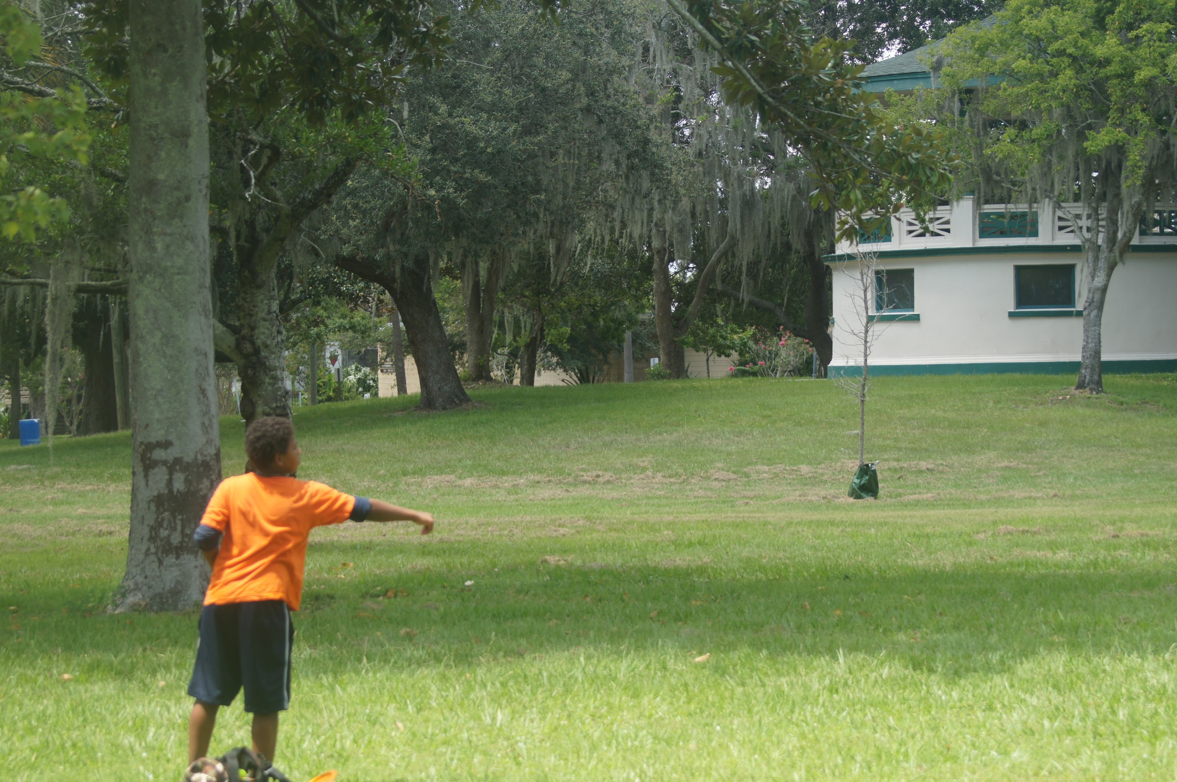 Hole 3 • Springfield DGC (Jacksonville, FL) Disc Golf Courses Disc