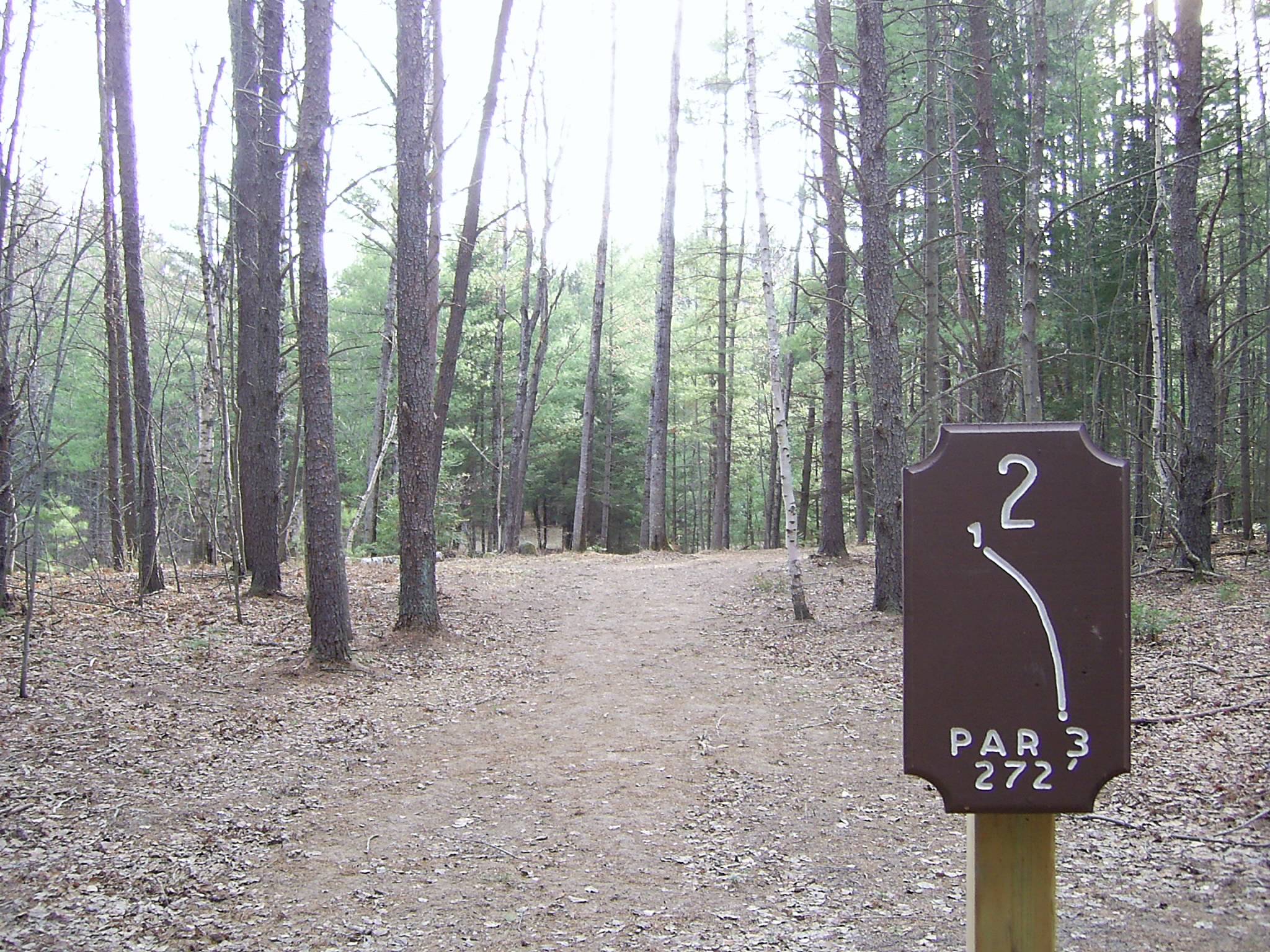 Hole 2 • Almon Park (Rhinelander, WI) Disc Golf Courses Disc Golf Scene
