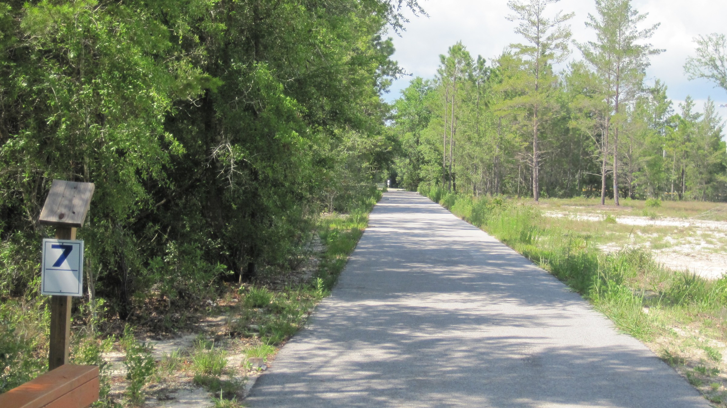 Hole 7 • Freeport Regional Sports Complex (Freeport, FL) Disc Golf