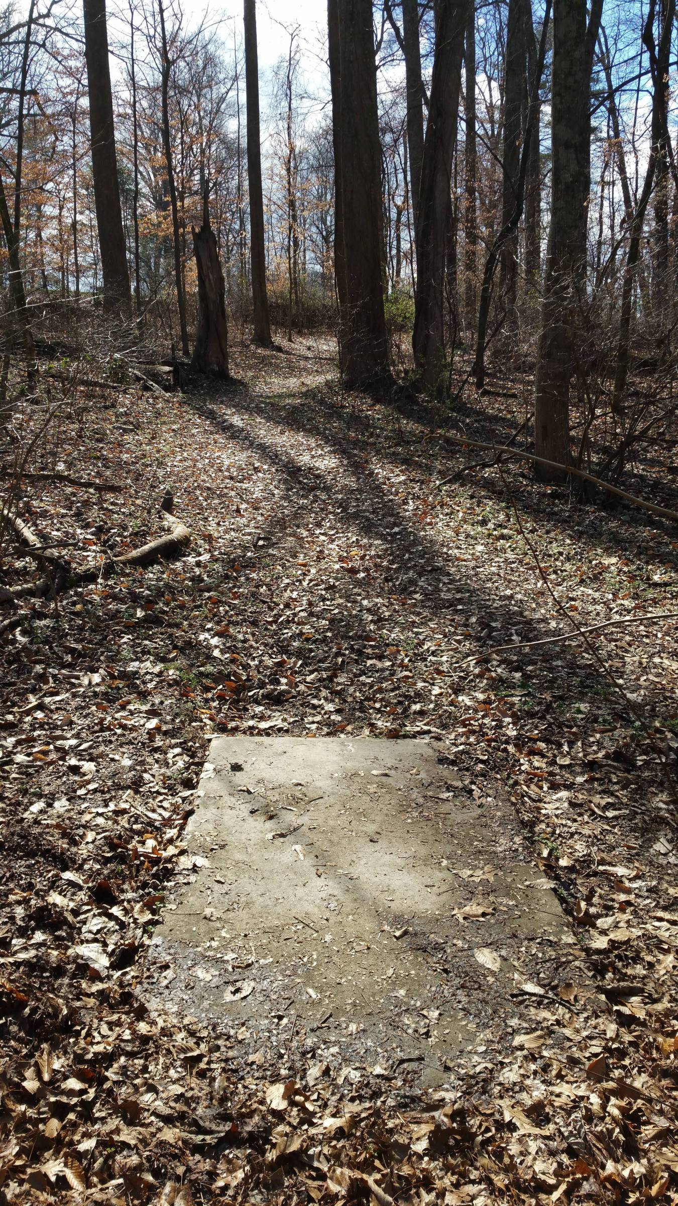 Hole 3 • King College (Bristol, TN) Disc Golf Courses Disc Golf Scene