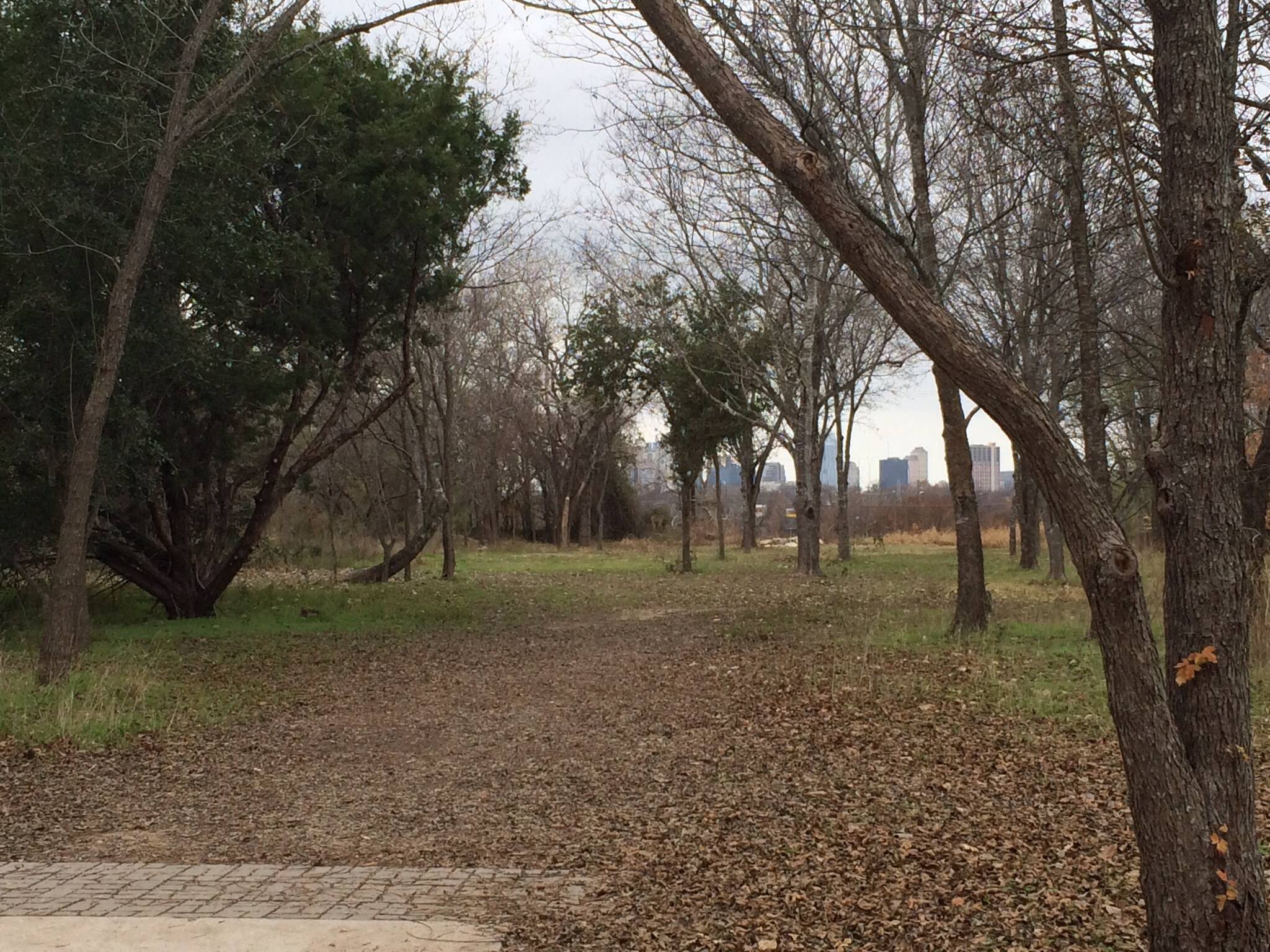 Hole 17 • Roy G. Guerrero Park (Austin, TX) Disc Golf Courses Disc