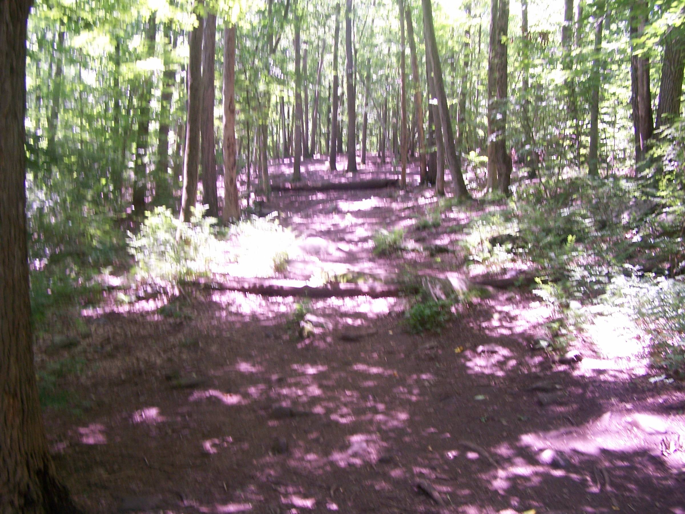 Hole 7 • Cranbury Park (Norwalk, CT) Disc Golf Courses Disc Golf Scene