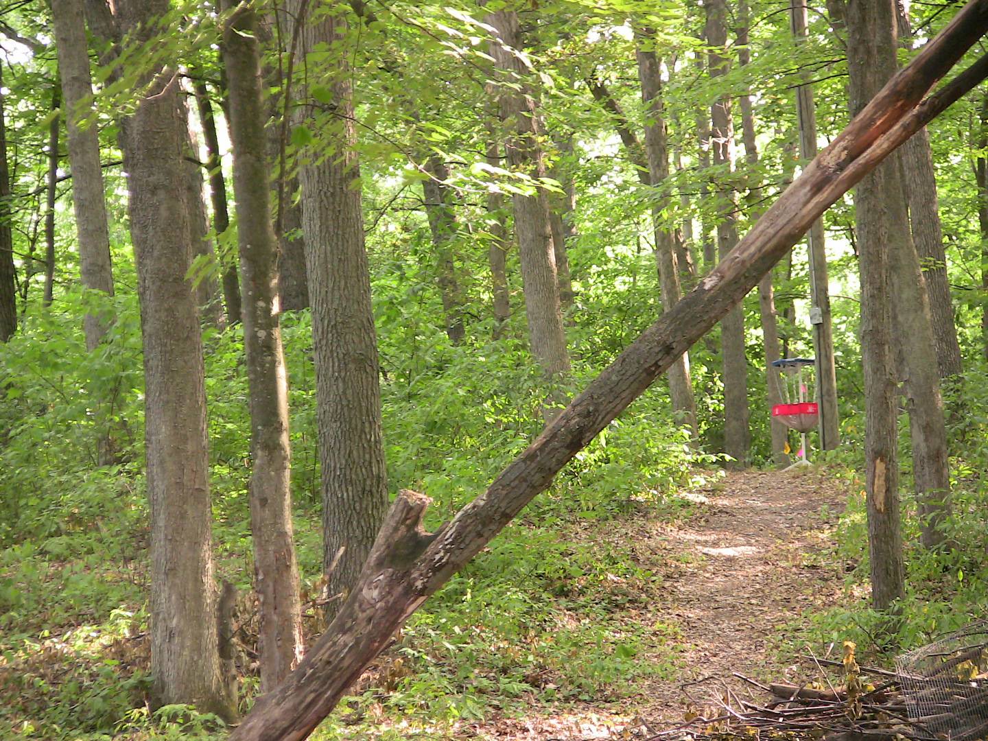 Hole 5 • Terrace Park (Traverse City, MI) Disc Golf Courses Disc