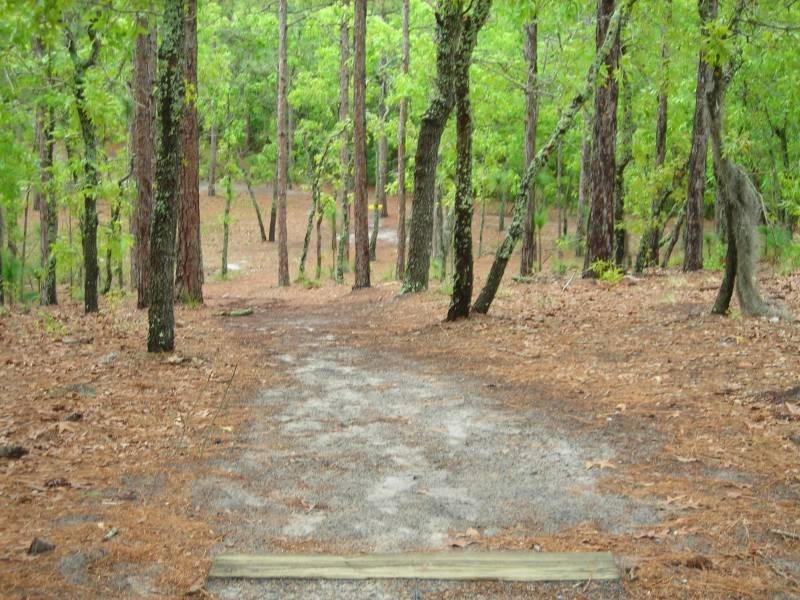 Hole 7 • Arrowhead Park (Wilmington, NC) Disc Golf Courses Disc