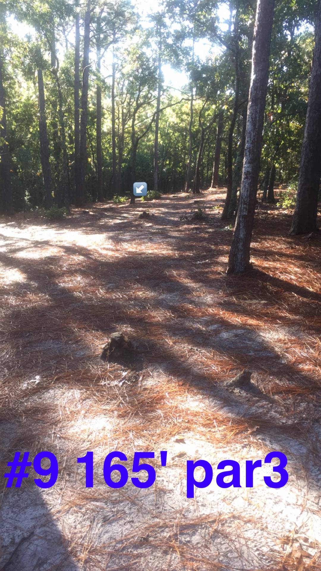 Hole 9 • Arrowhead Park (Wilmington, NC) Disc Golf Courses Disc