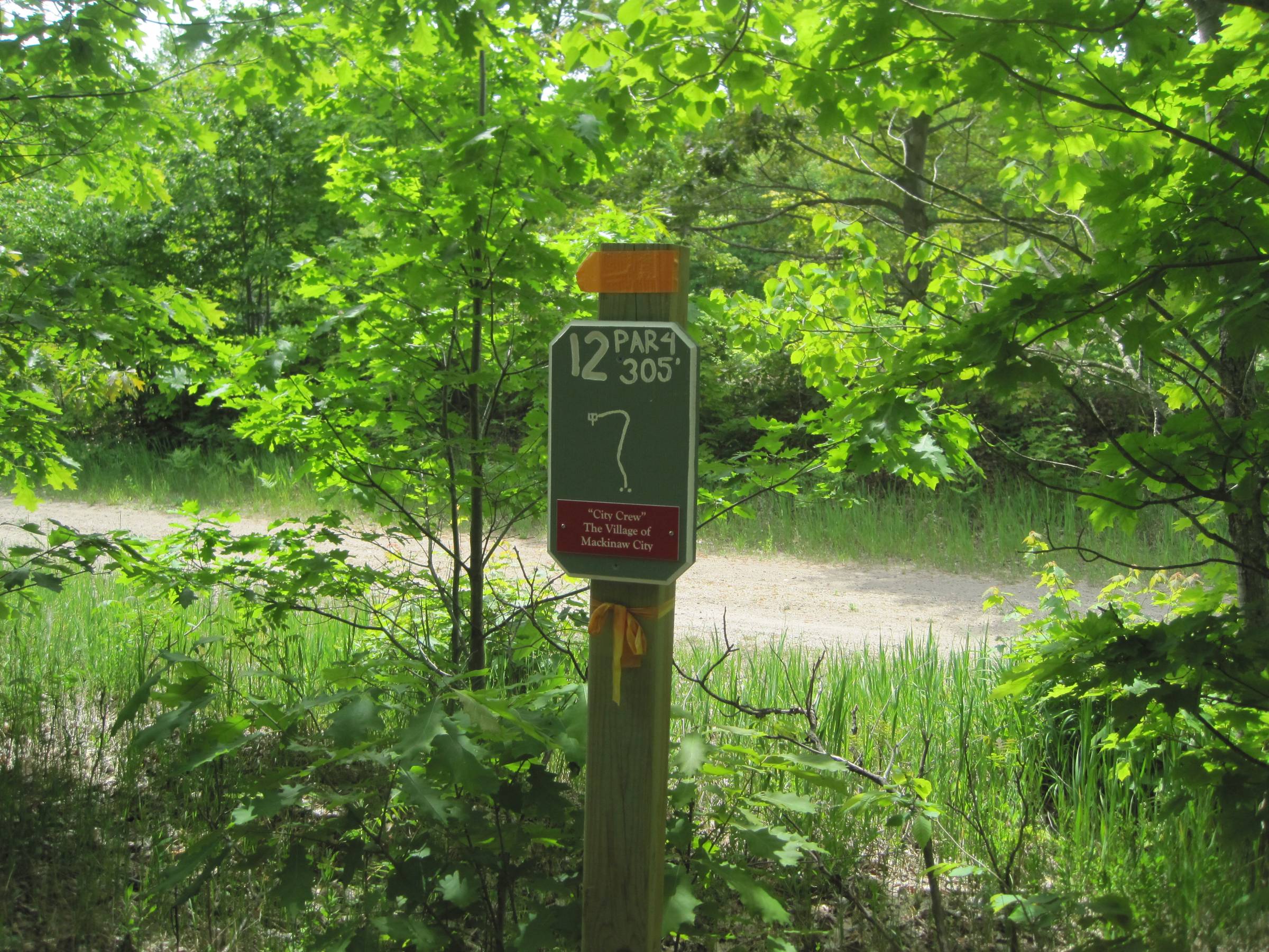 Hole 12 • Turbine Pines (Mackinaw City, MI) Disc Golf Courses Disc