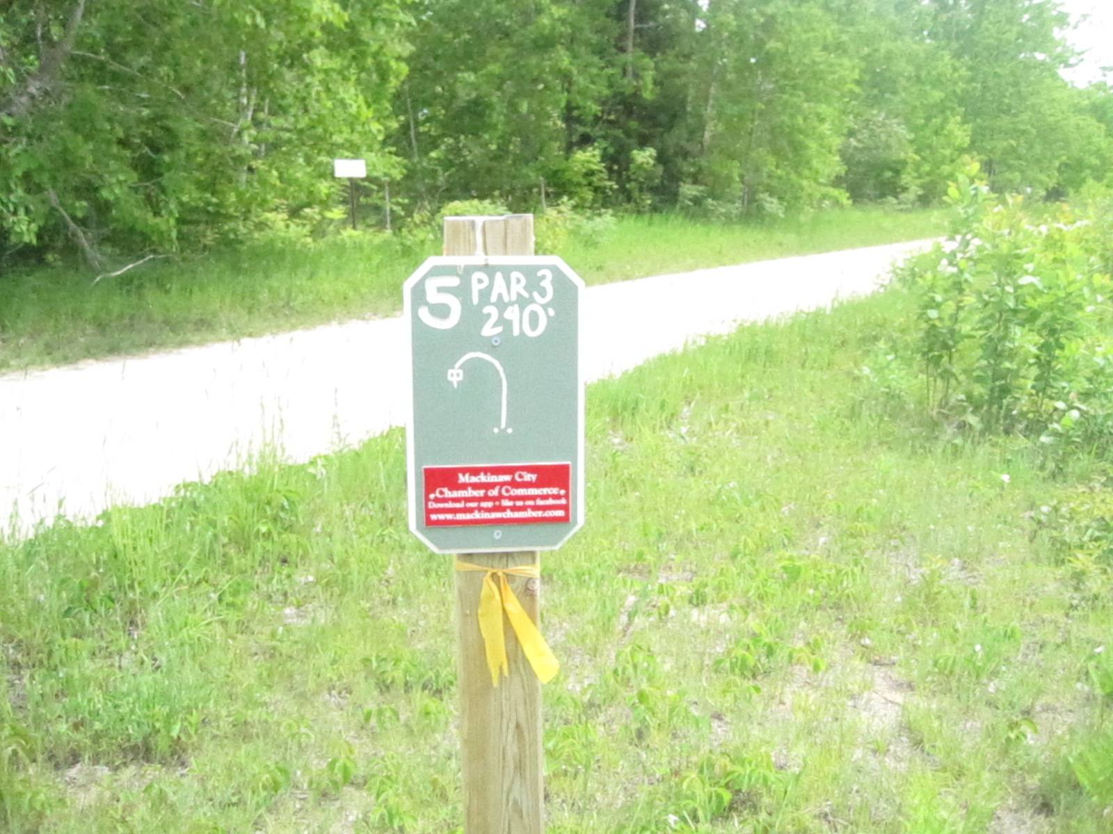Hole 5 • Turbine Pines (Mackinaw City, MI) Disc Golf Courses Disc