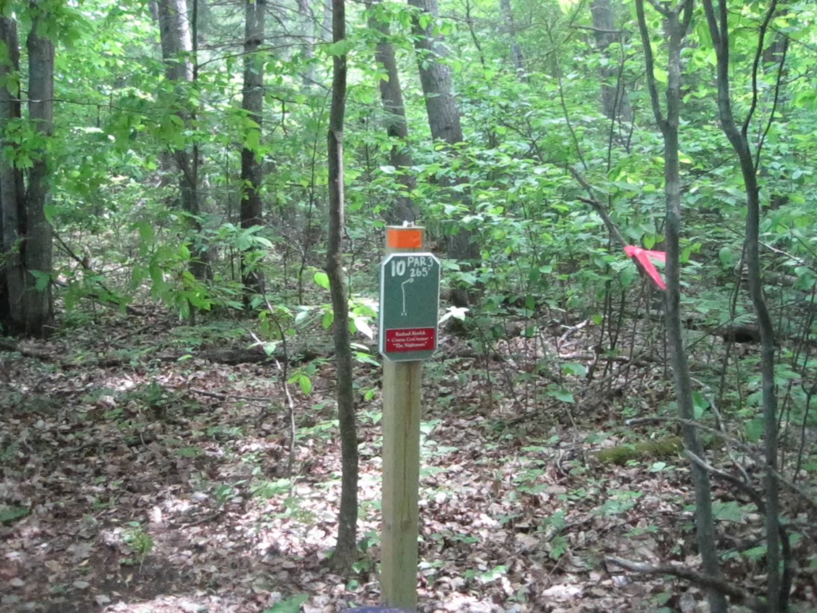 Hole 10 • Turbine Pines (Mackinaw City, MI) Disc Golf Courses Disc