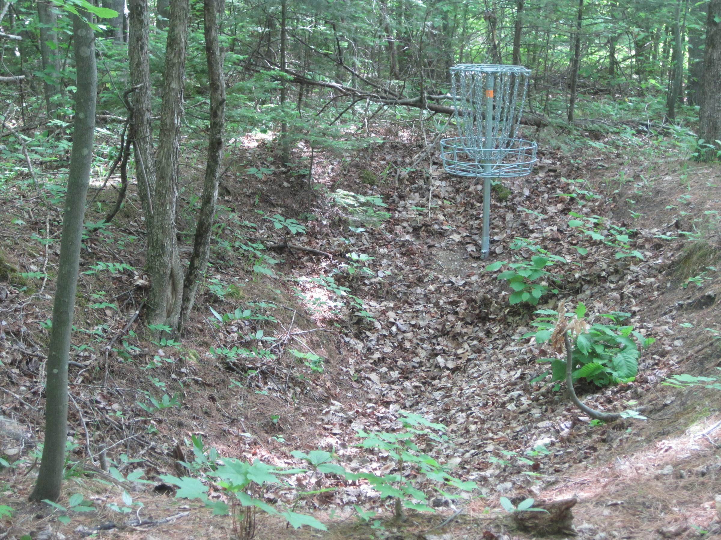 Hole 11 • Turbine Pines (Mackinaw City, MI) Disc Golf Courses Disc