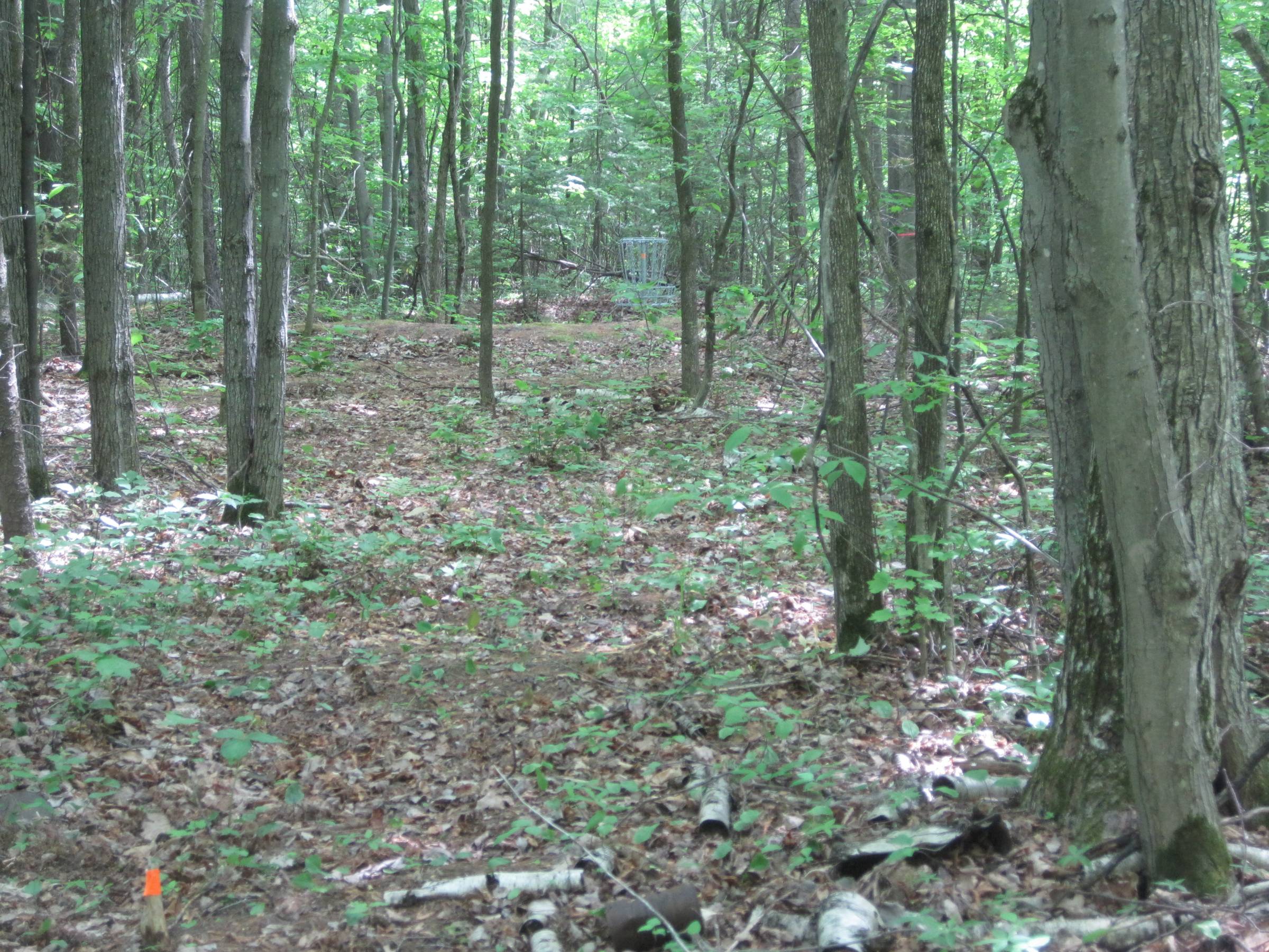 Hole 11 • Turbine Pines (Mackinaw City, MI) Disc Golf Courses Disc