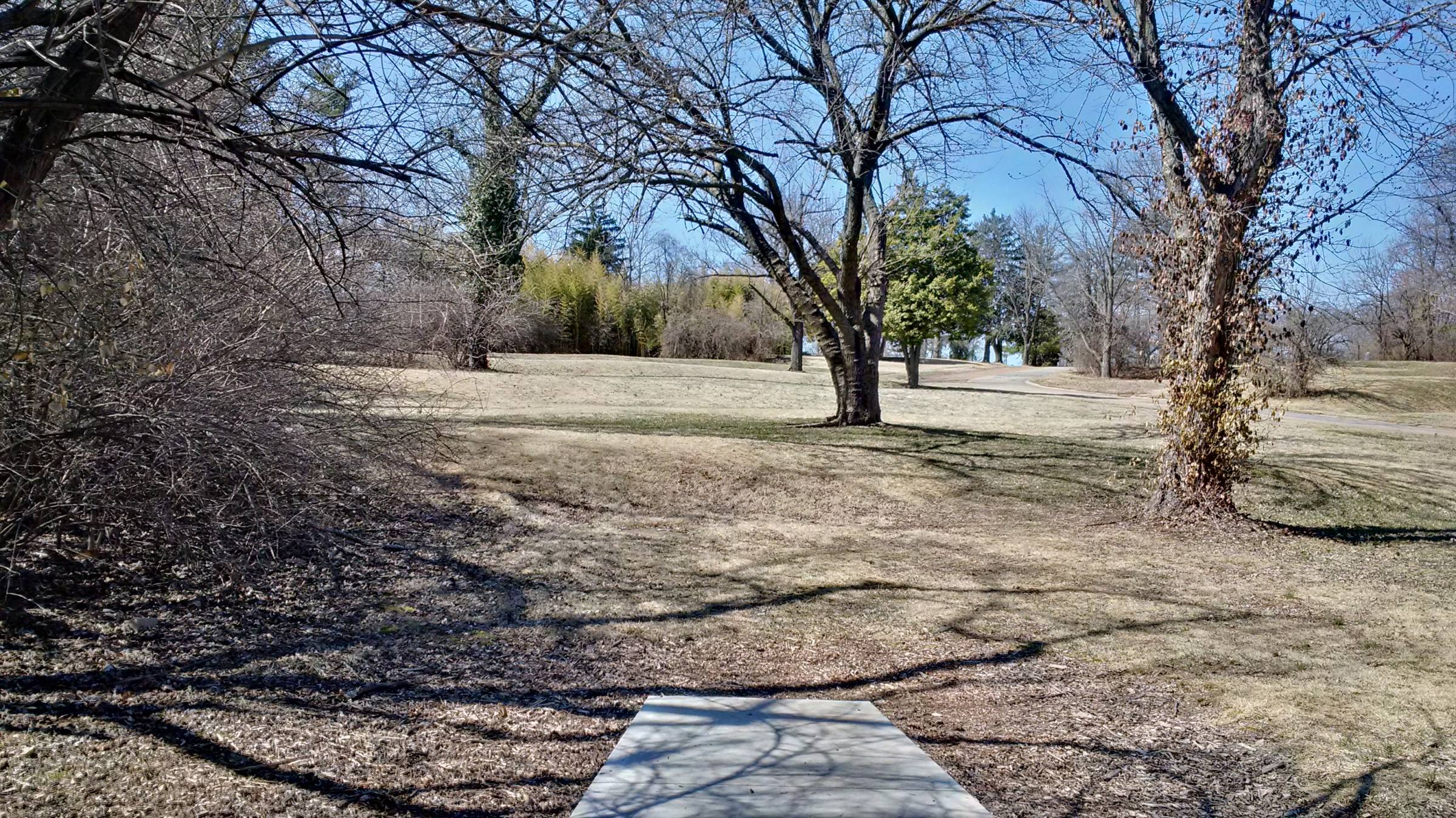 Hole 5 • Carrollton Park (Bridgeton, MO) Disc Golf Courses Disc