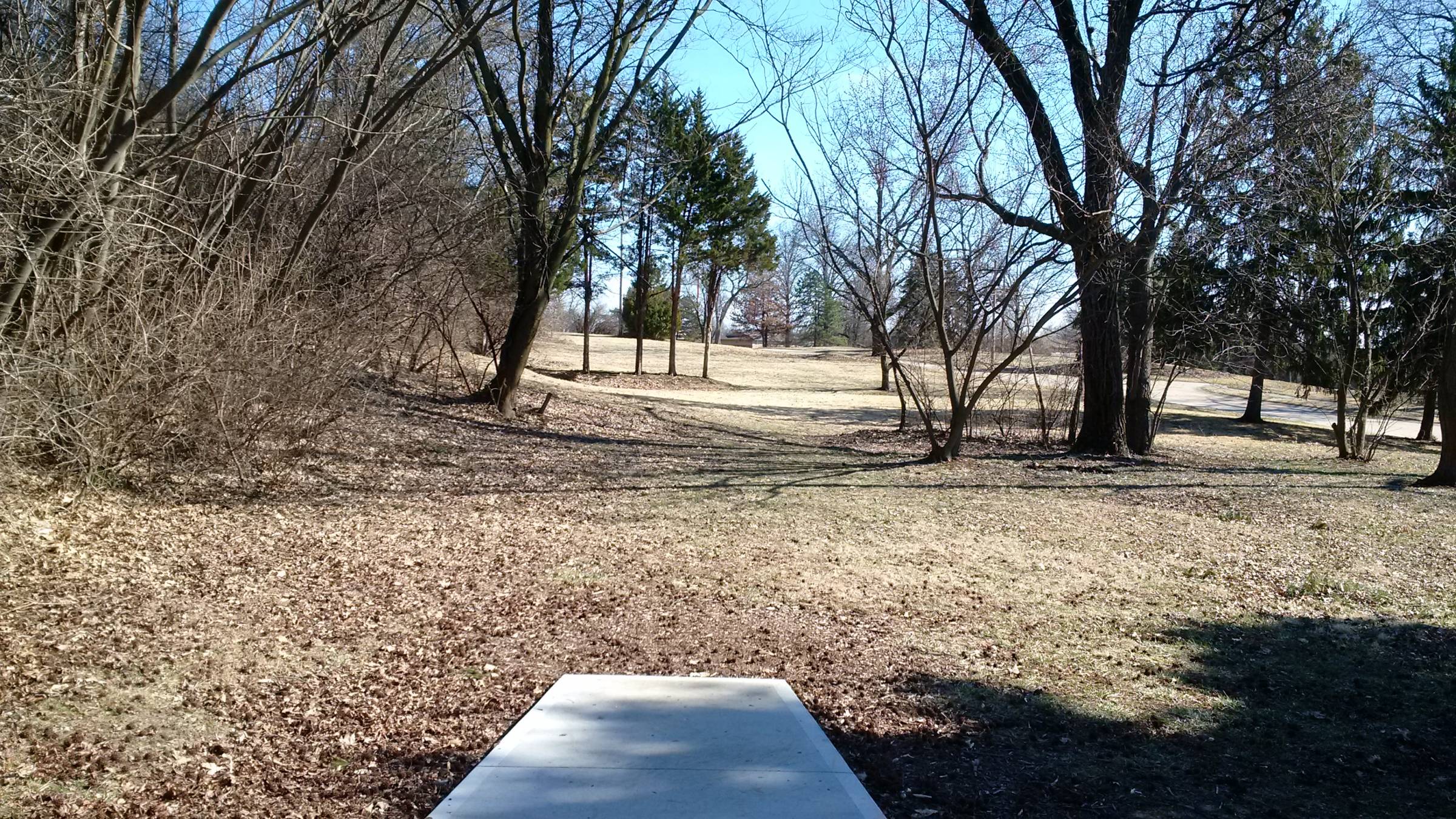 Hole 18 • Carrollton Park (Bridgeton, MO) Disc Golf Courses Disc
