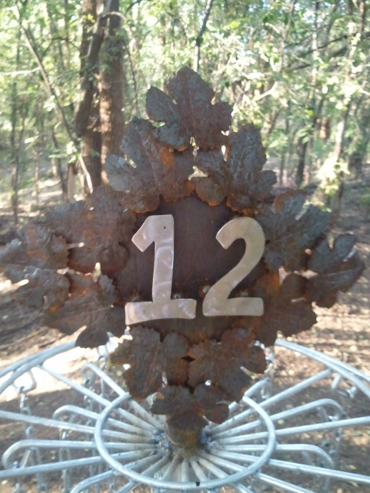 Hole 12 • Mae Simmons Park (Lubbock, TX) Disc Golf Courses Disc