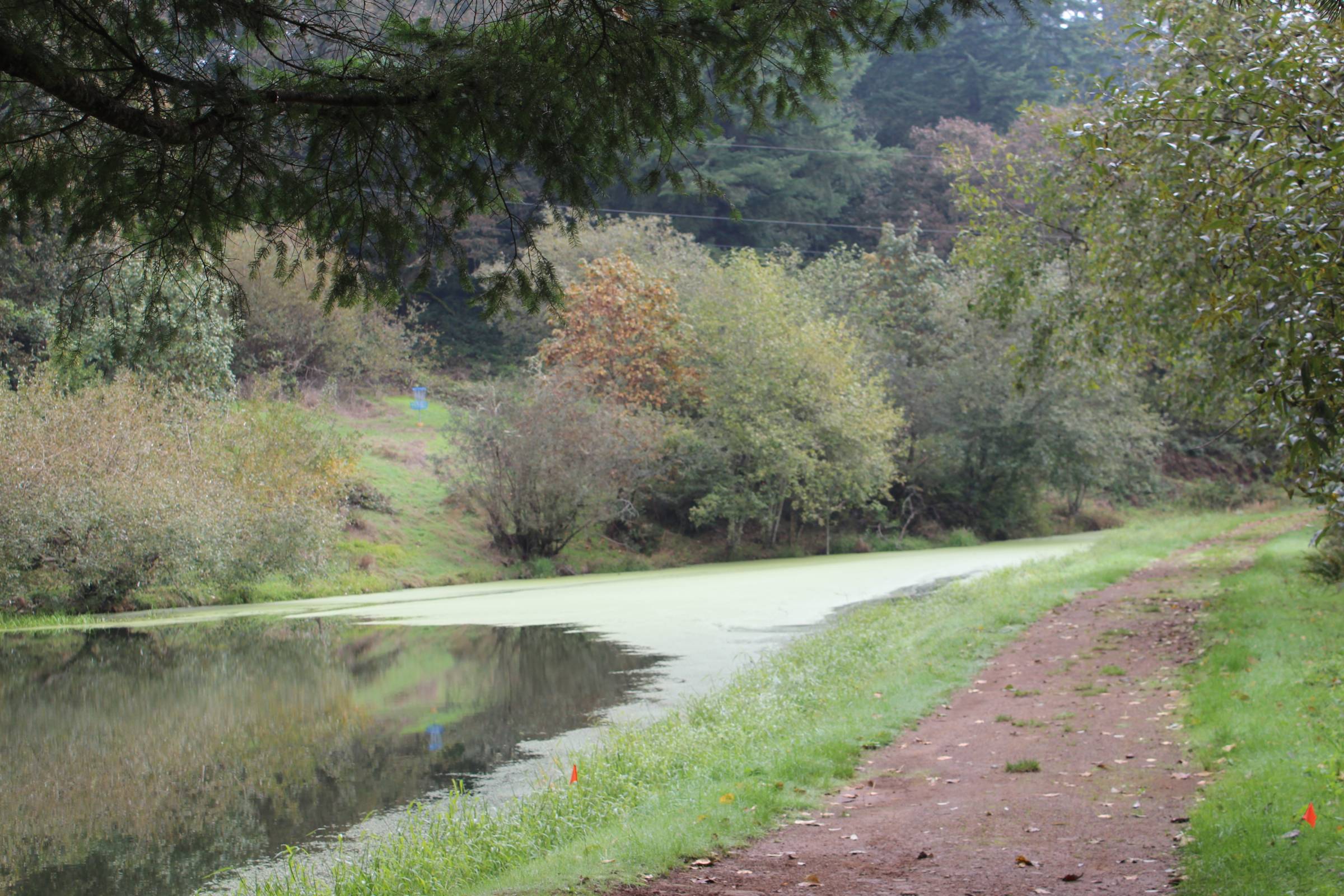 Hole 16 • Canyonview Camp (Silverton, OR) Disc Golf Courses Disc
