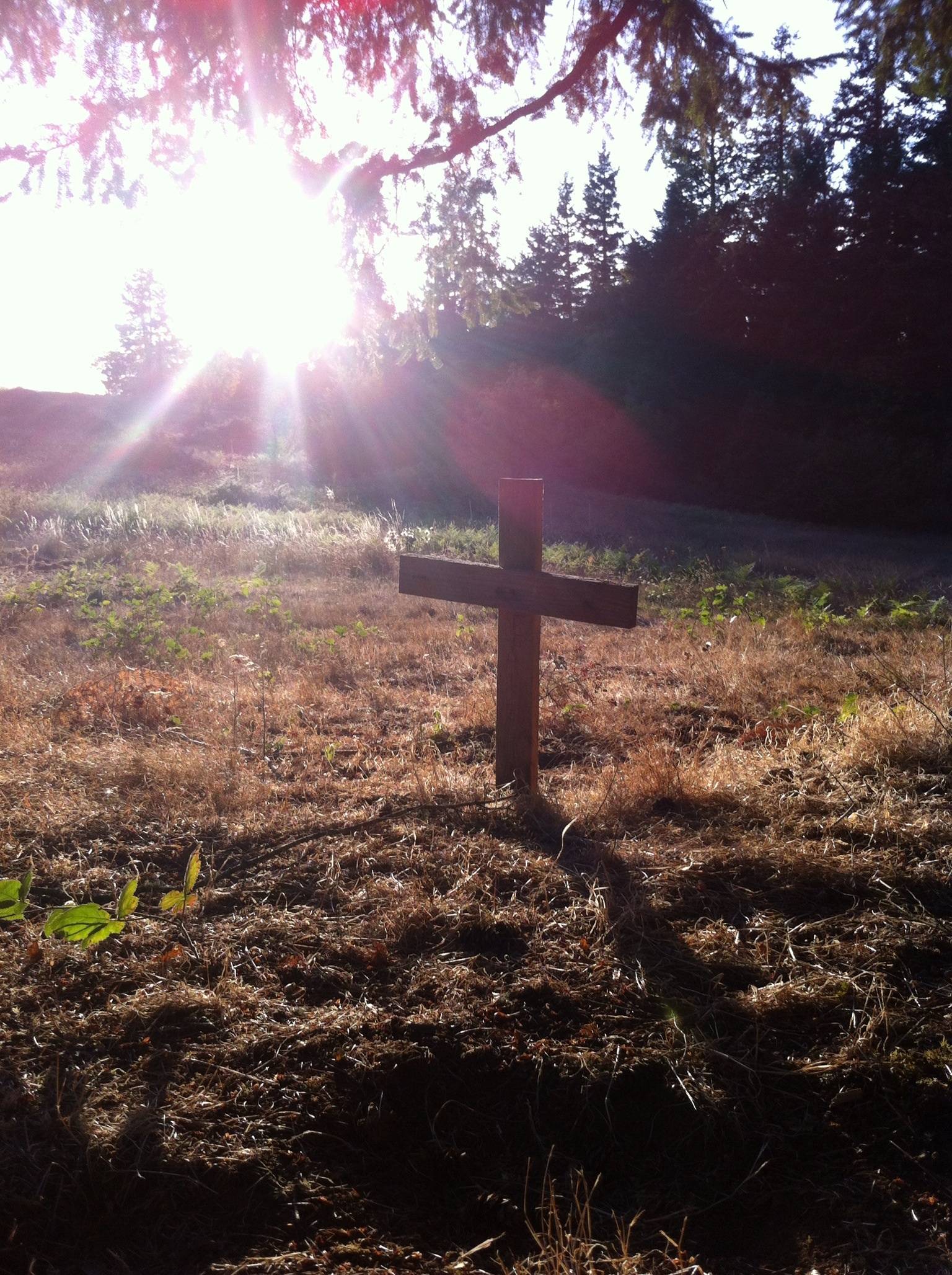 Hole 1 • Canyonview Camp (Silverton, OR) Disc Golf Courses Disc