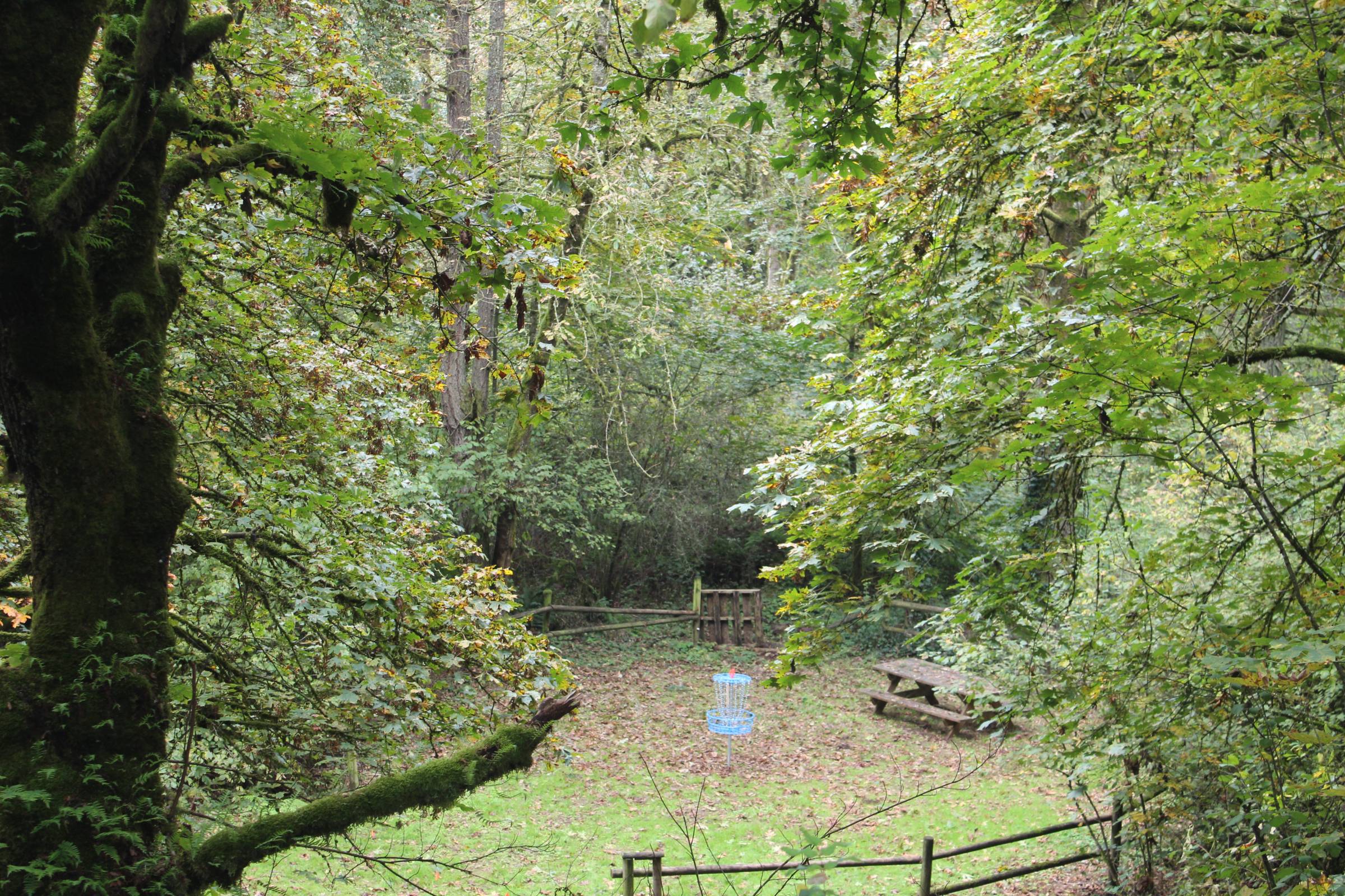 Hole 12 • Canyonview Camp (Silverton, OR) Disc Golf Courses Disc