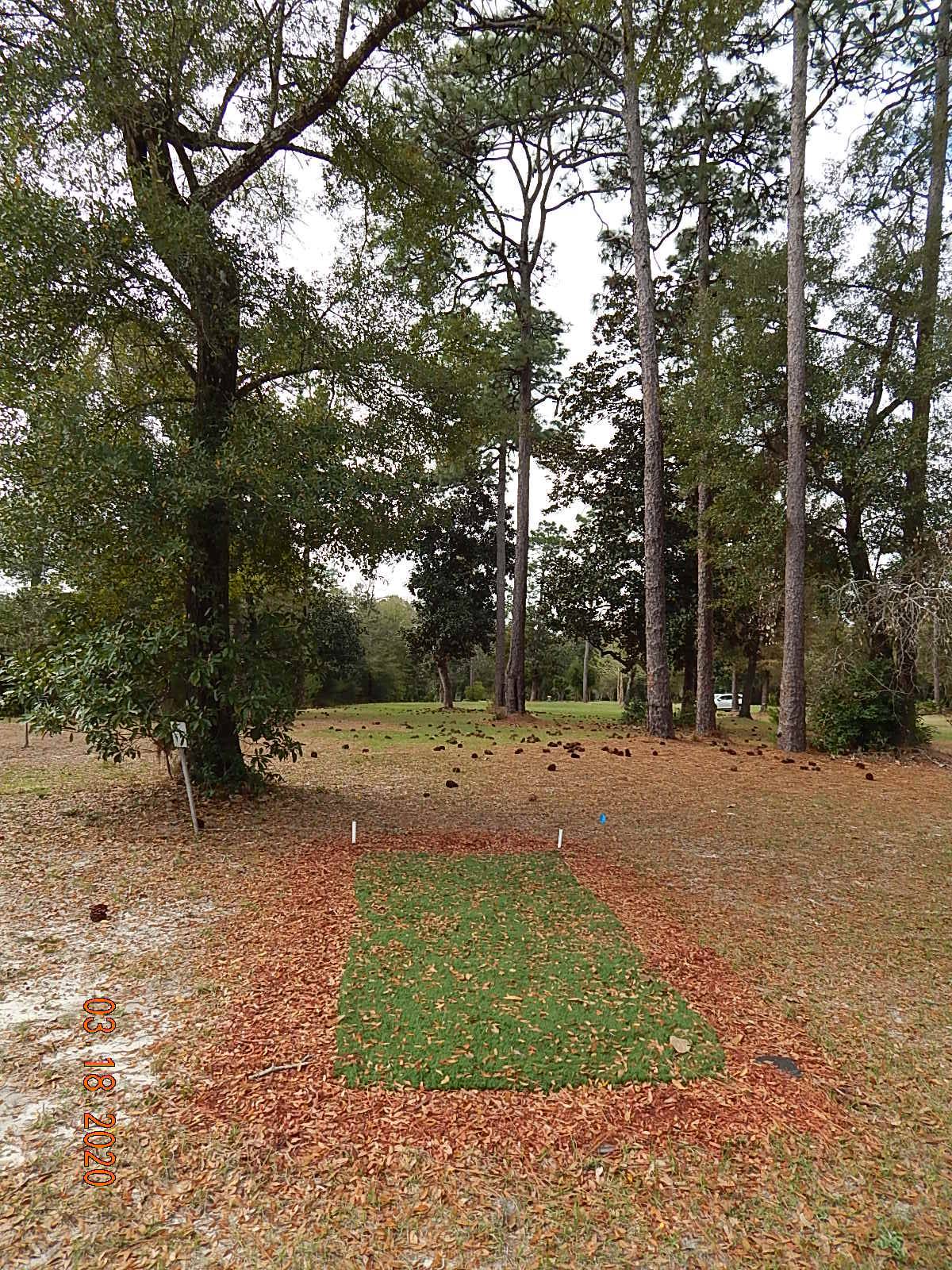 Hole 9 • Anderson Pond (Niceville, FL) Disc Golf Courses Disc Golf