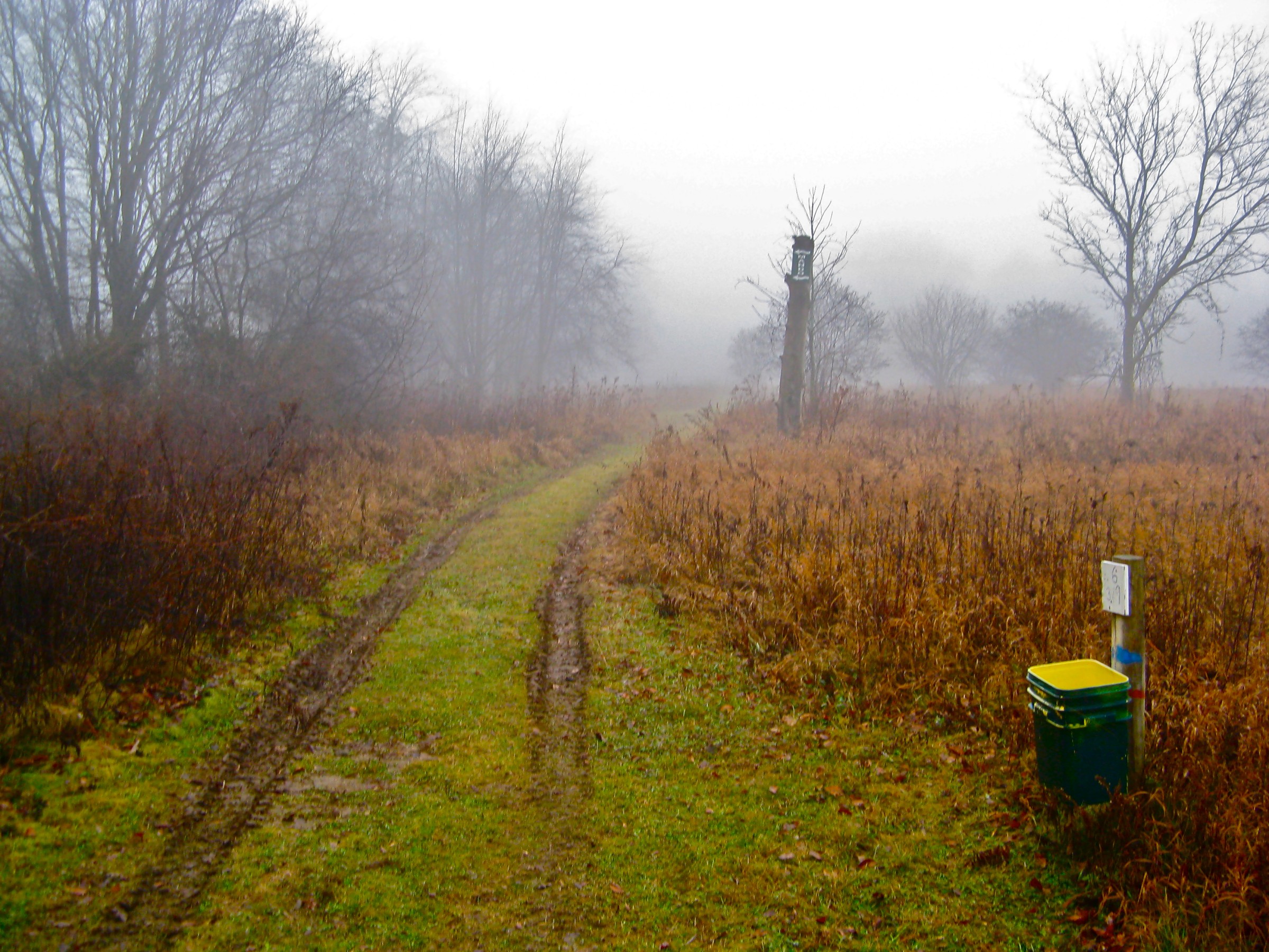 Hole 6 • West / University of Wisconsin Parkside (Kenosha, WI) Disc