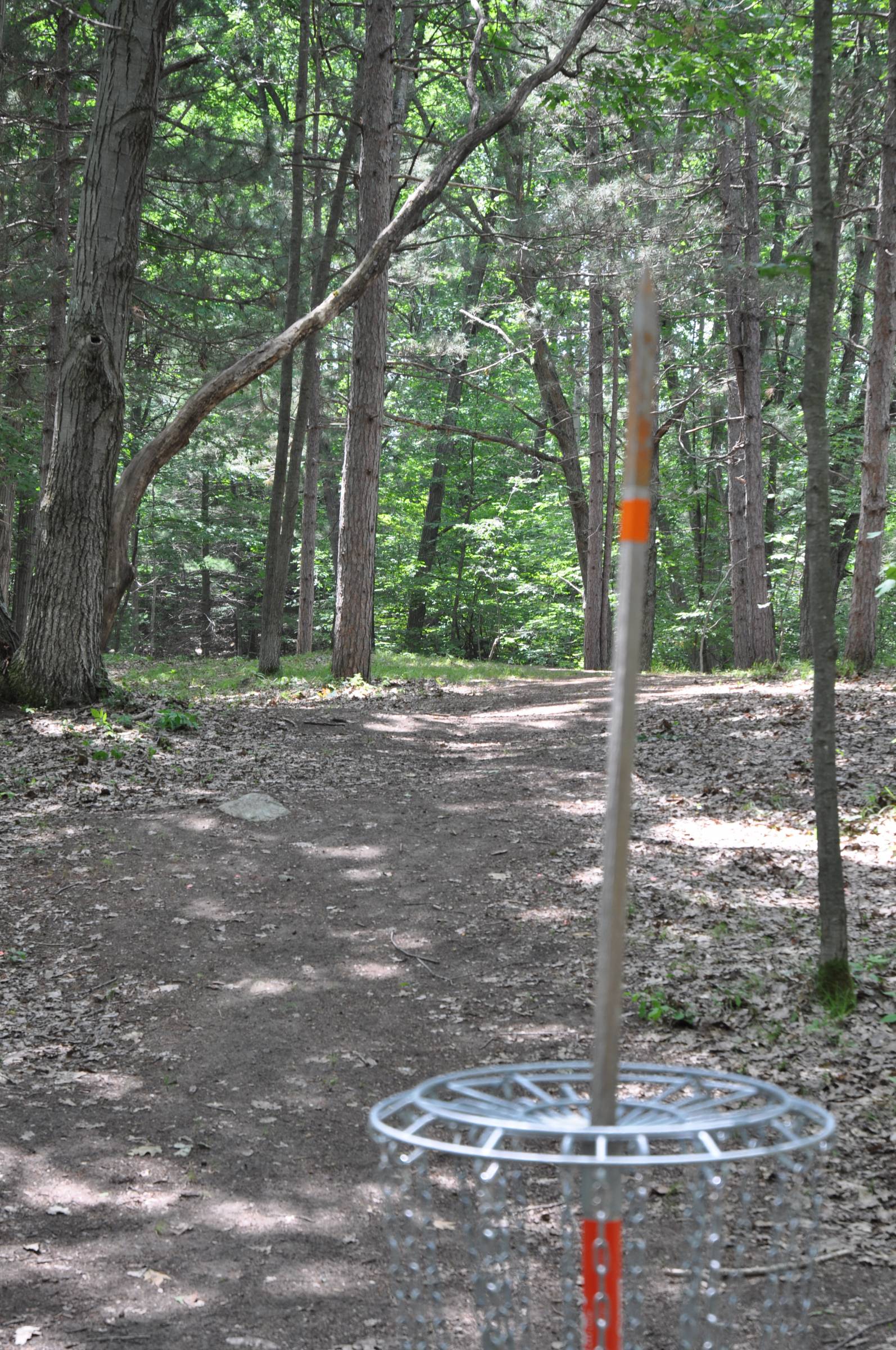 Hole 3 • Wildwood / Deerfield Park (Mt. Pleasant, MI) Disc Golf