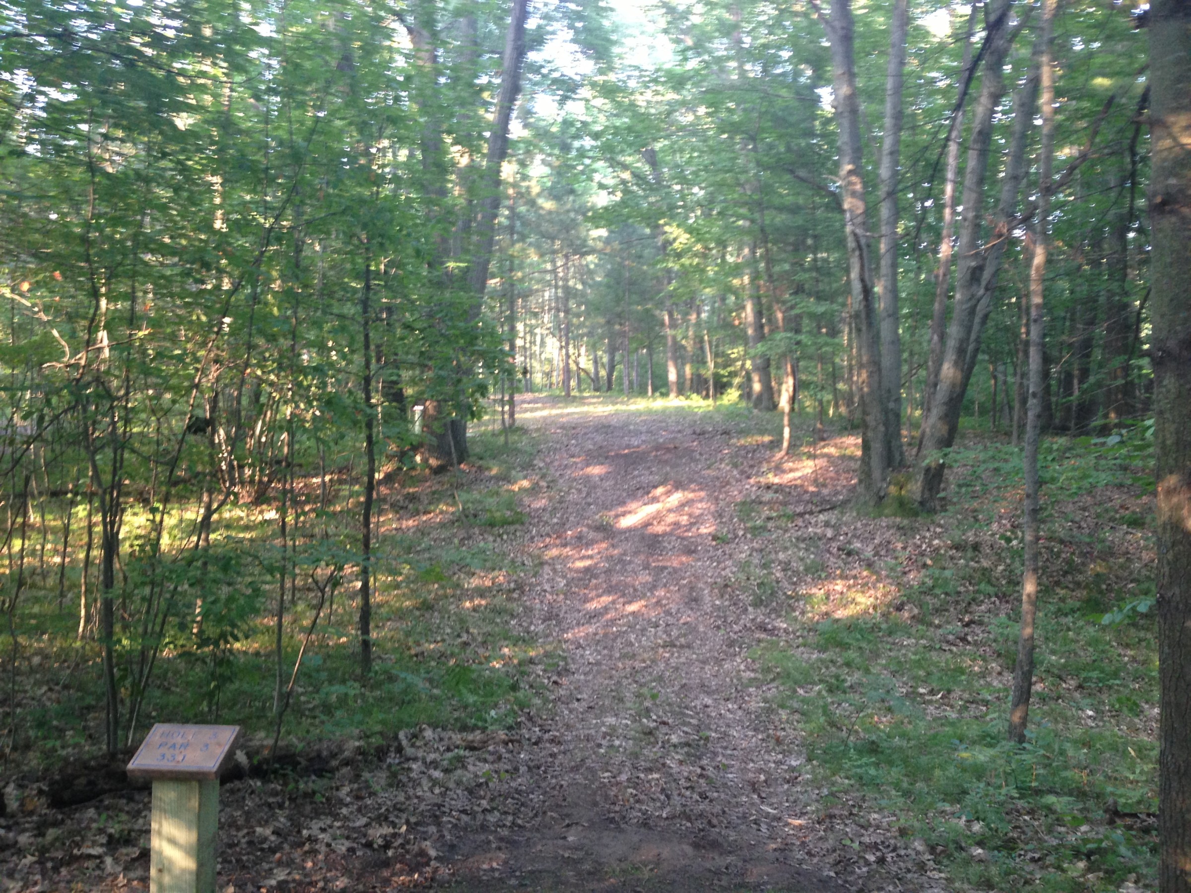 Hole 3 • Wildwood / Deerfield Park (Mt. Pleasant, MI) Disc Golf