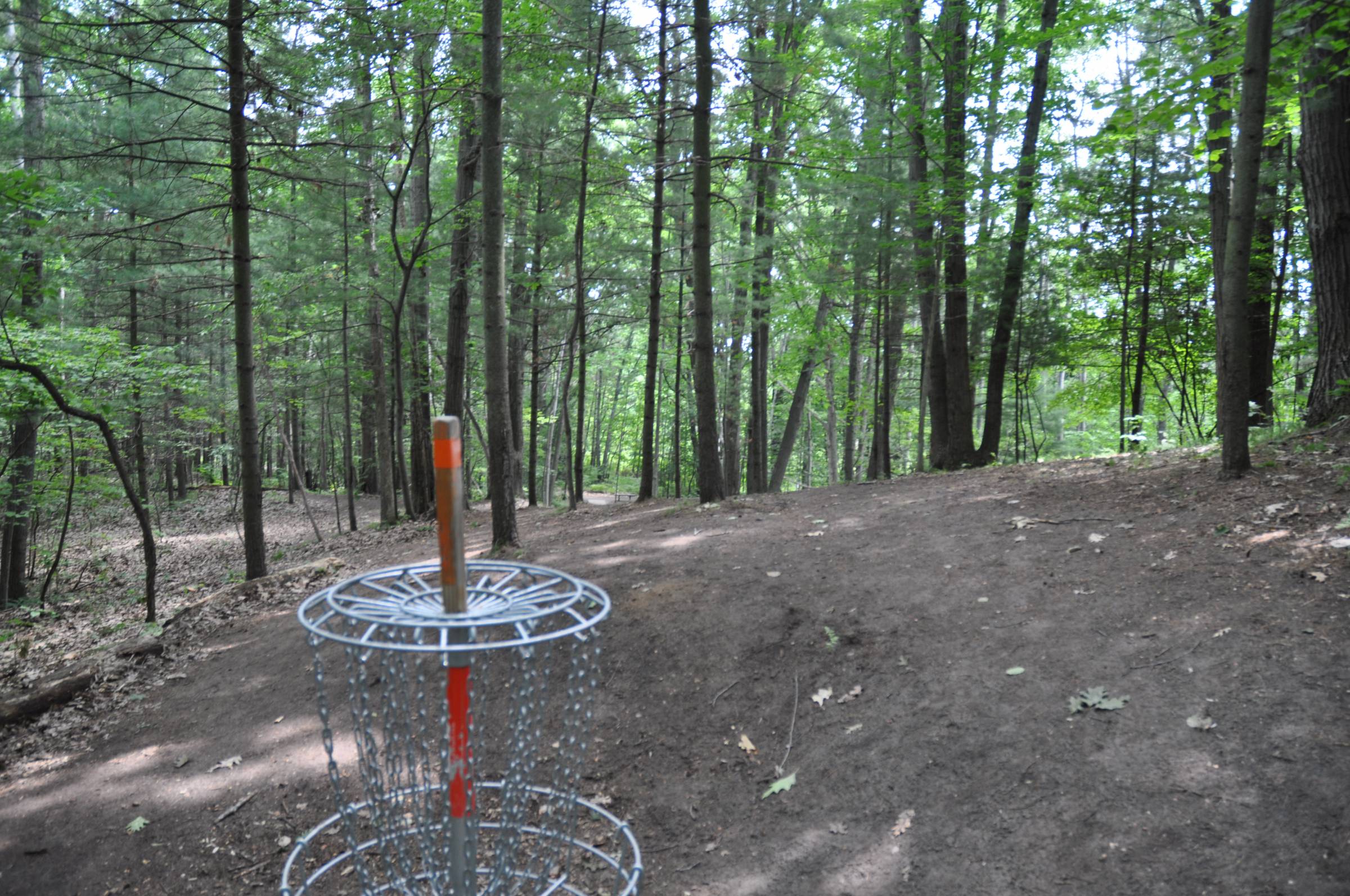 Hole 1 • Wildwood / Deerfield Park (Mt. Pleasant, MI) Disc Golf Courses Disc Golf Scene