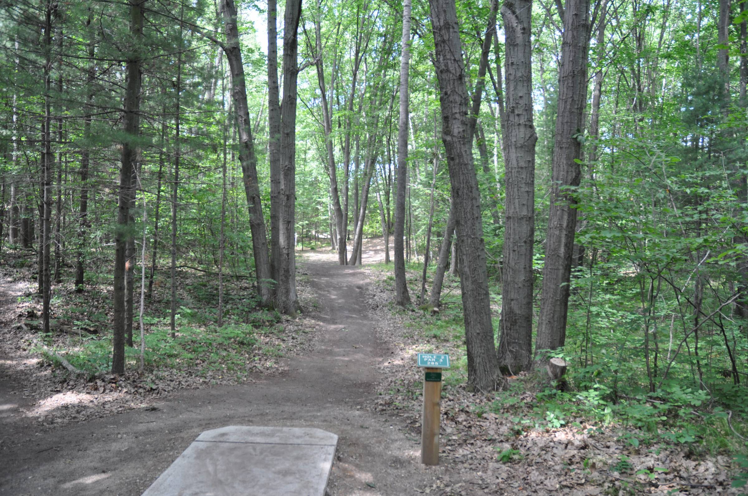Hole 2 • Wildwood / Deerfield Park (Mt. Pleasant, MI) Disc Golf