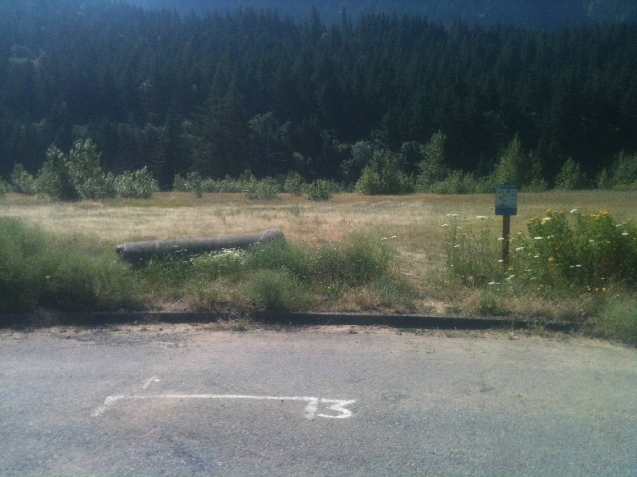 Hole 3 • Lock Approach (Cascade Locks, OR) Disc Golf Courses Disc