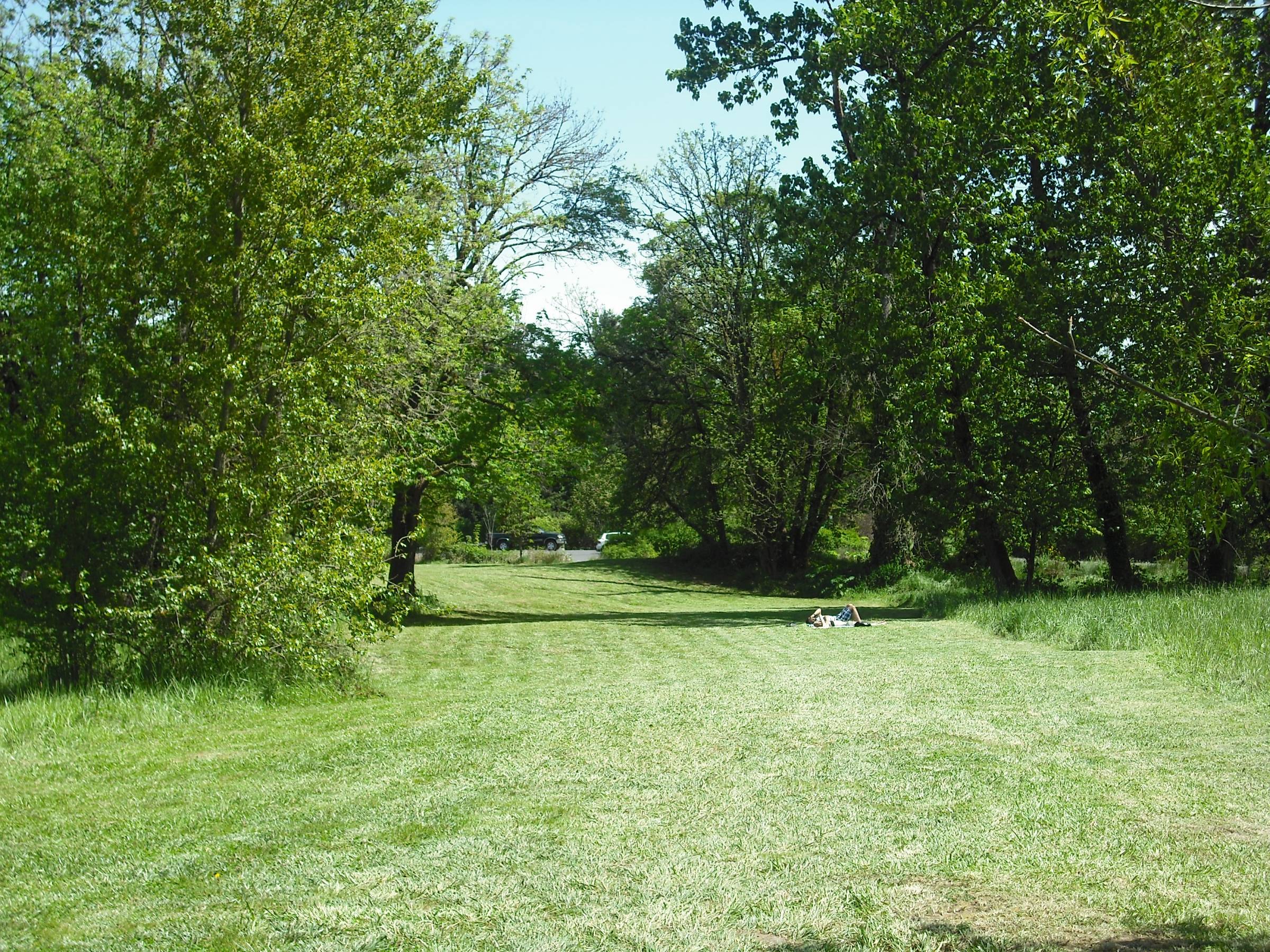 Hole 6 • Alton Baker Park (Eugene, OR) Disc Golf Courses Disc Golf