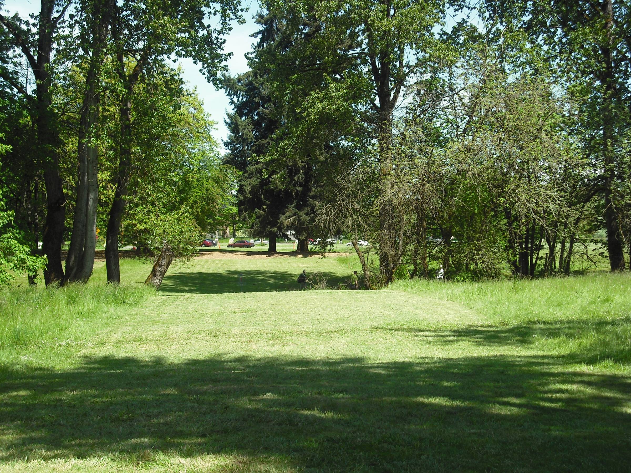Hole 4 • Alton Baker Park (Eugene, OR) Disc Golf Courses Disc Golf