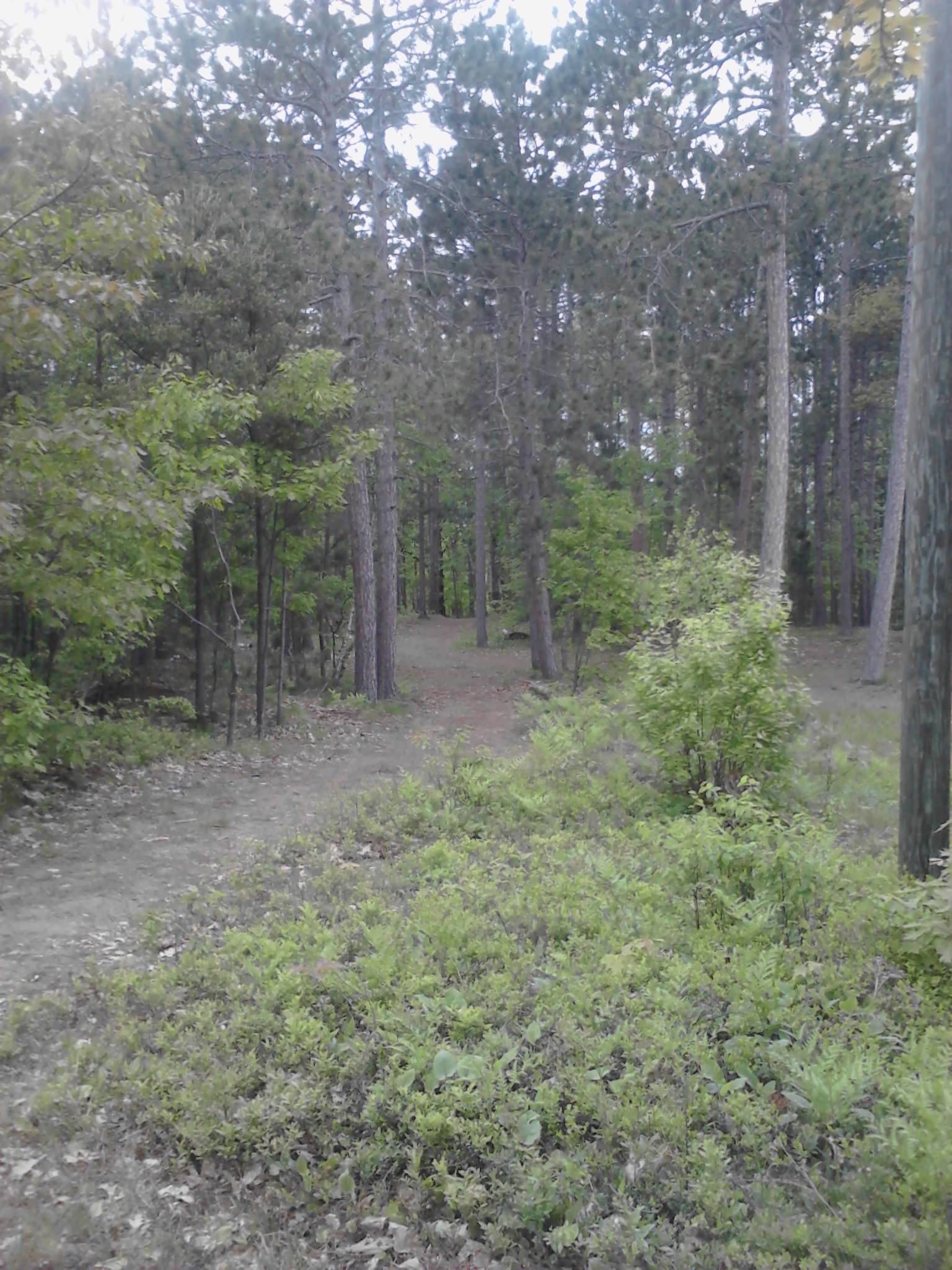 Hole 5 • Powder Mill DGC (Marquette, MI) Disc Golf Courses Disc