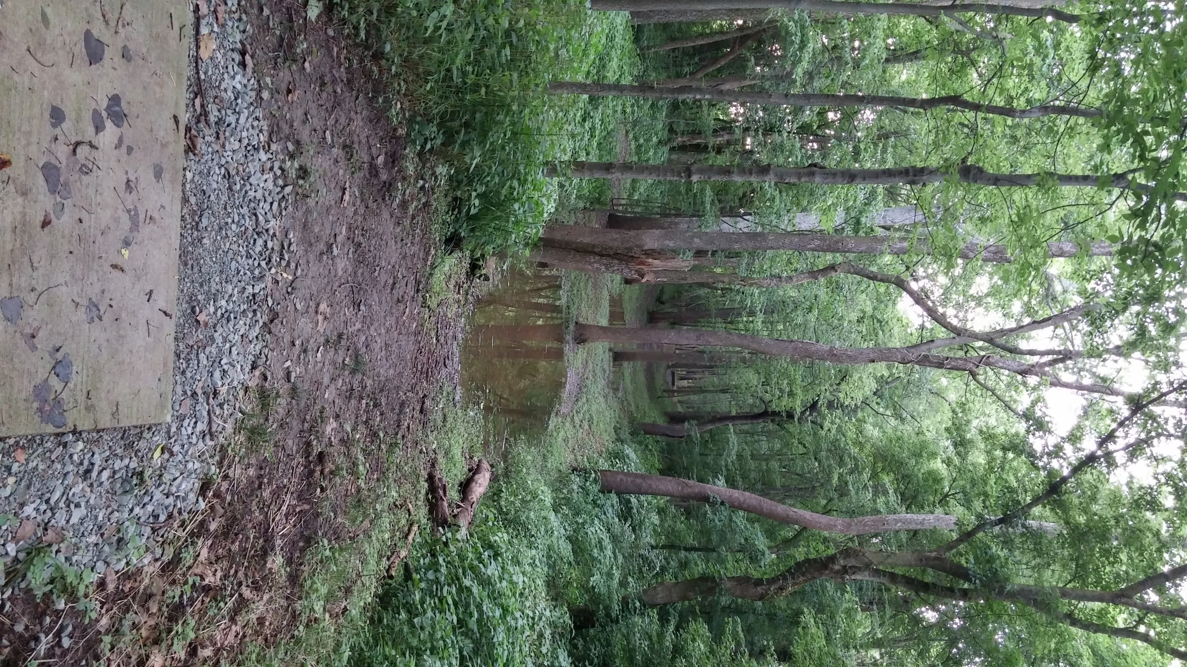 Hole 8 • Hazel Landing Park (Carmel, IN) Disc Golf Courses Disc