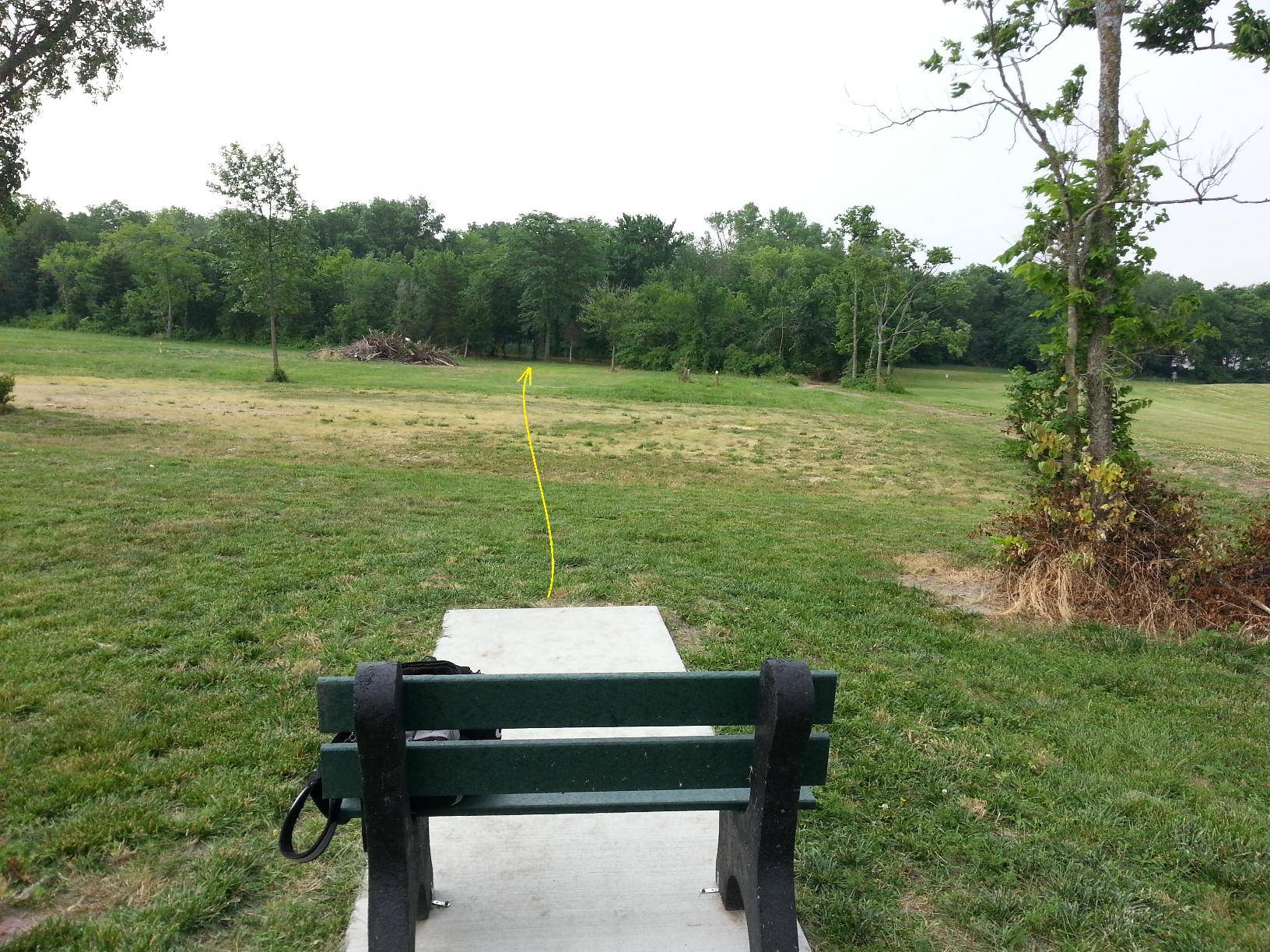 Hole 4 • Rose Park (McLouth, KS) Disc Golf Courses Disc Golf Scene