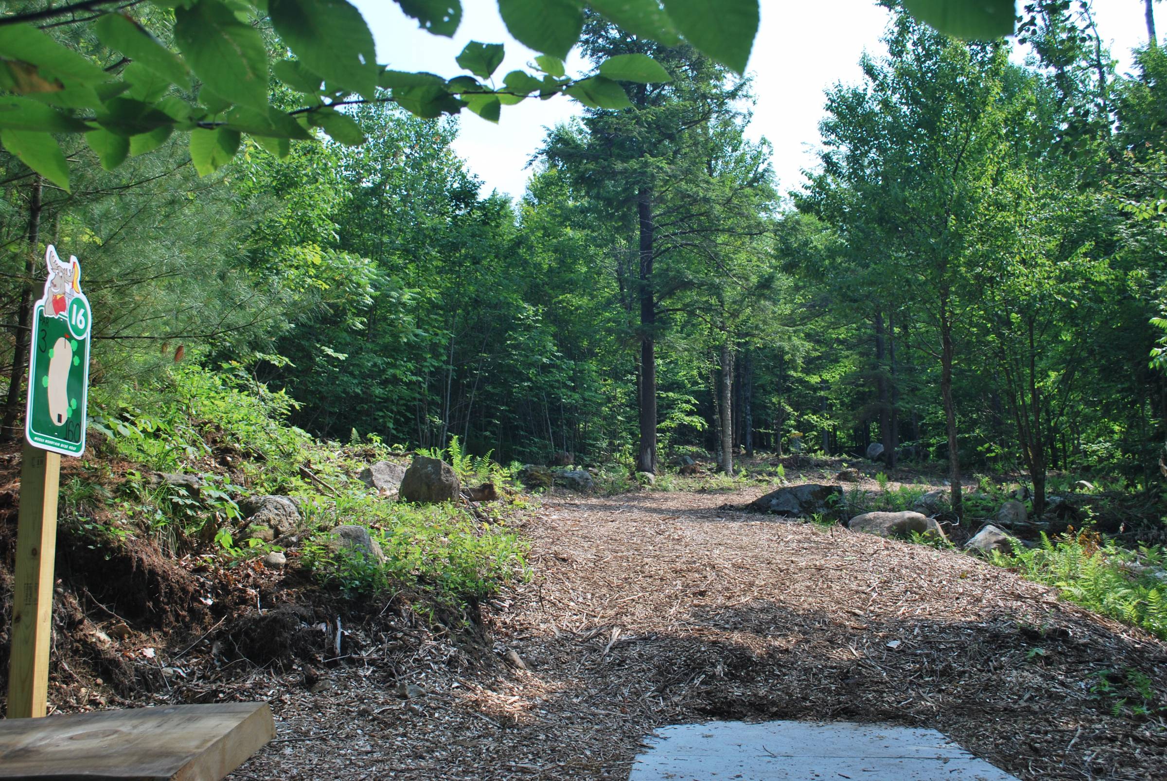 Hole 16 • Moose Mountain Recreation (Brookfield, NH) Disc Golf