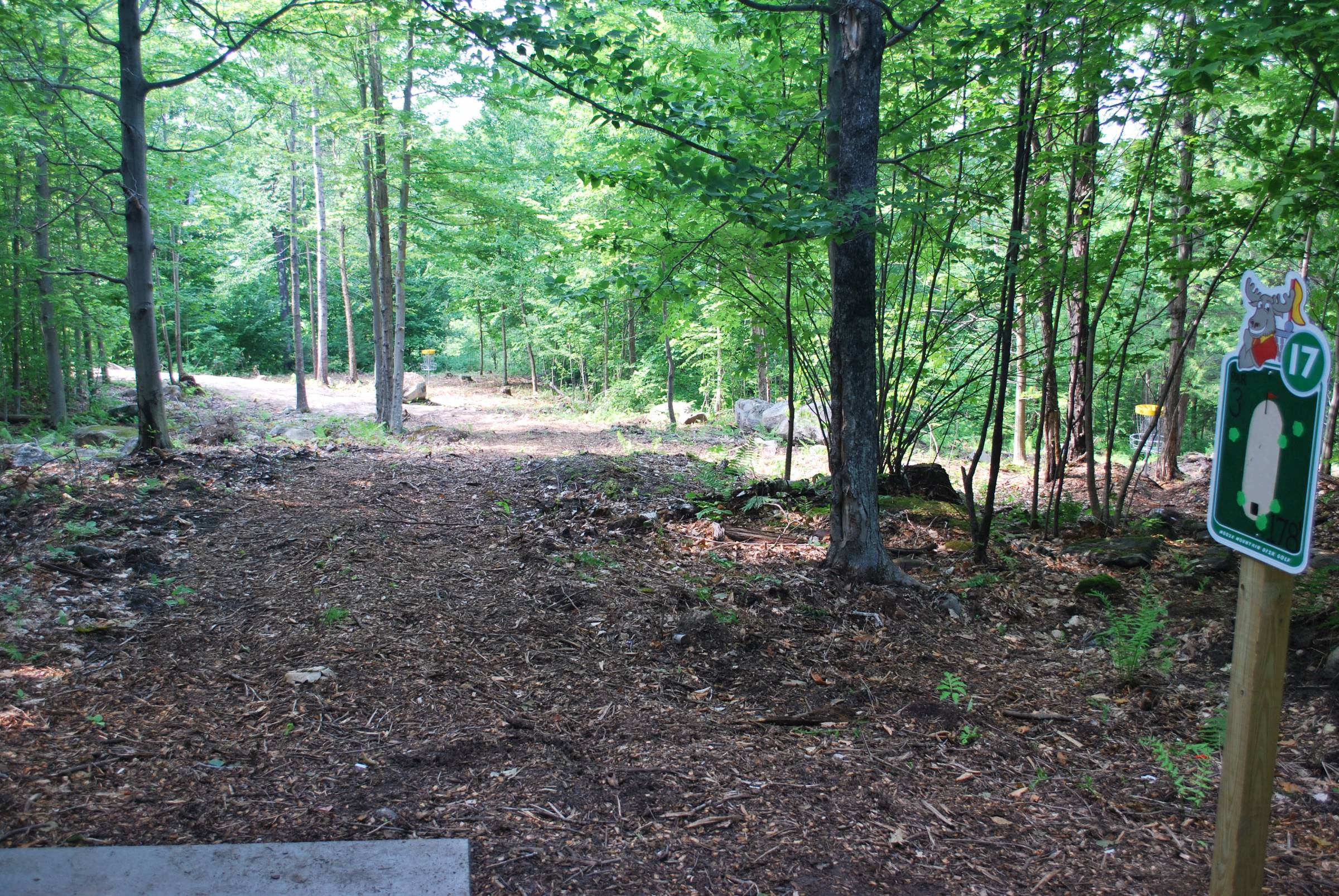 Hole 17 • Moose Mountain Recreation (Brookfield, NH) Disc Golf