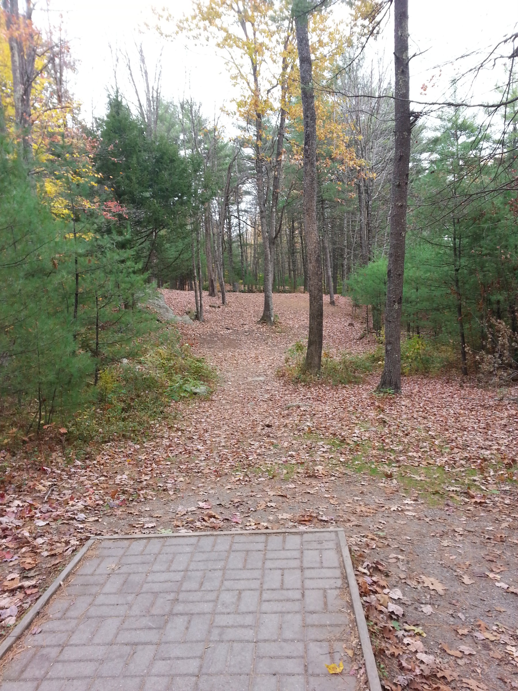 Hole 16 • Black Bear / Woodland Valley (Limerick, ME